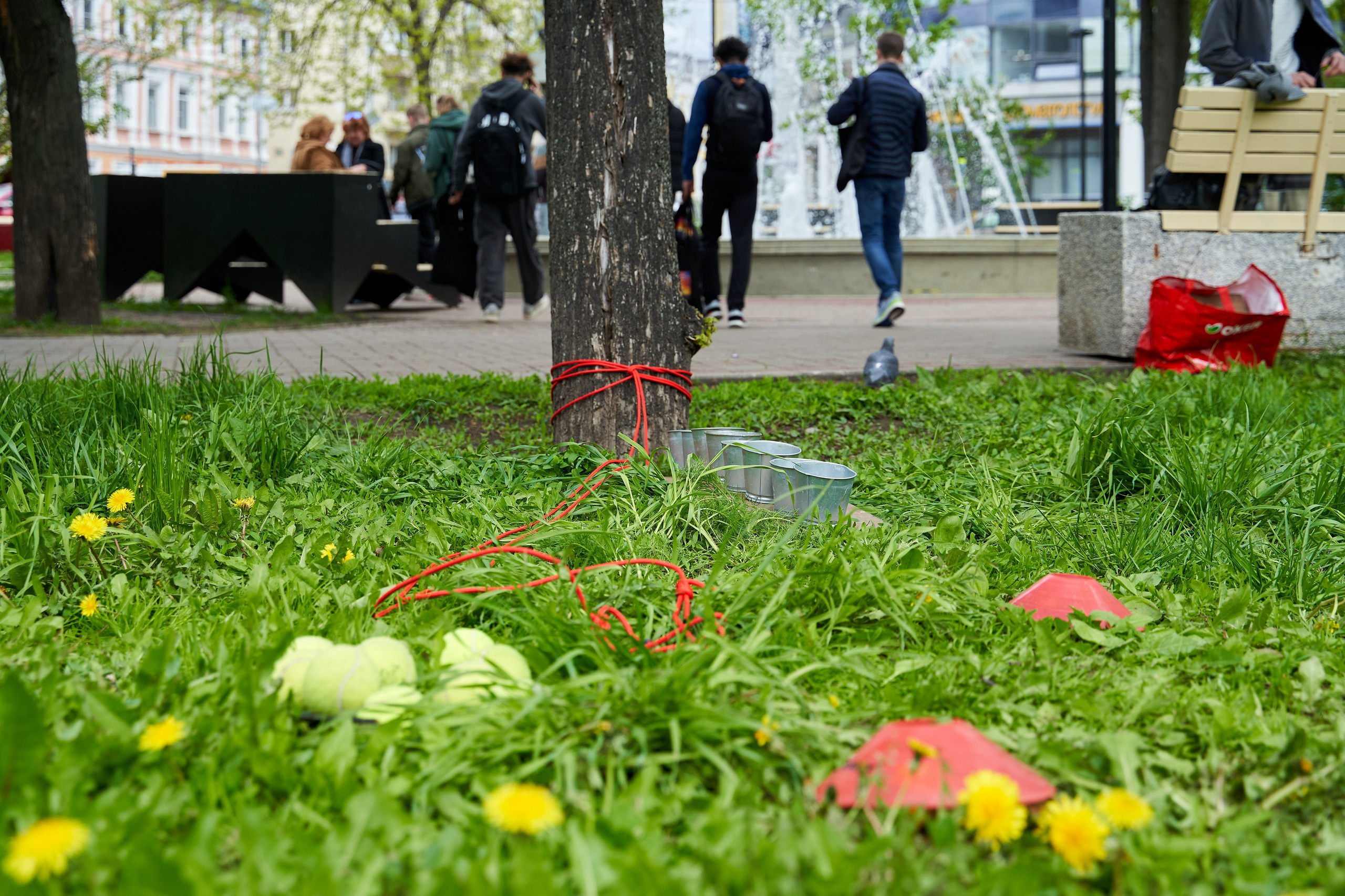 Городской квест в рамках регионального фестиваля «Учись без границ». Репортажный фотограф Вилянов Евгений. Нижний Новгород