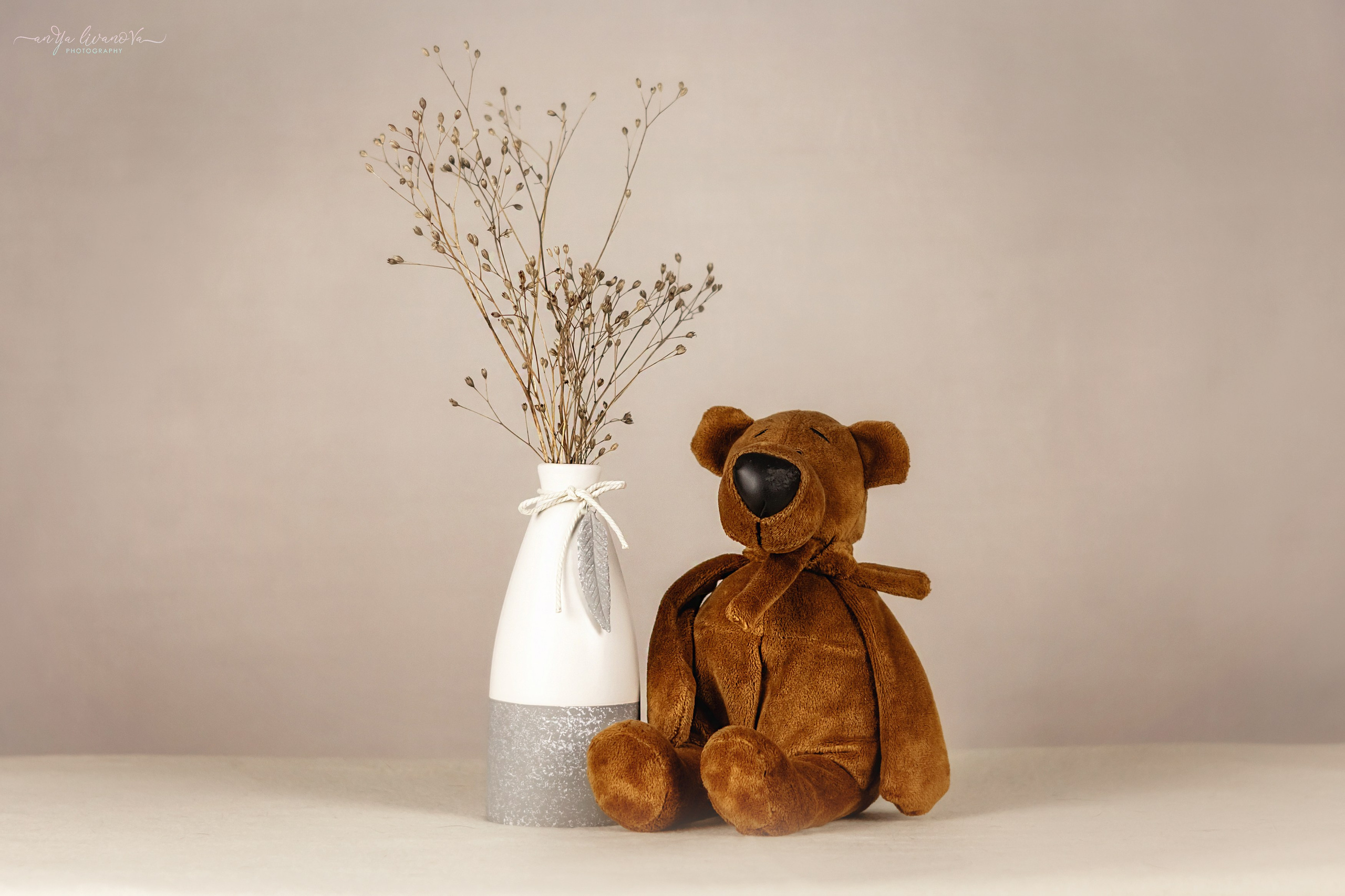 Светлый фон. Фотограф анималист Аня Ливанова | Рыбинск