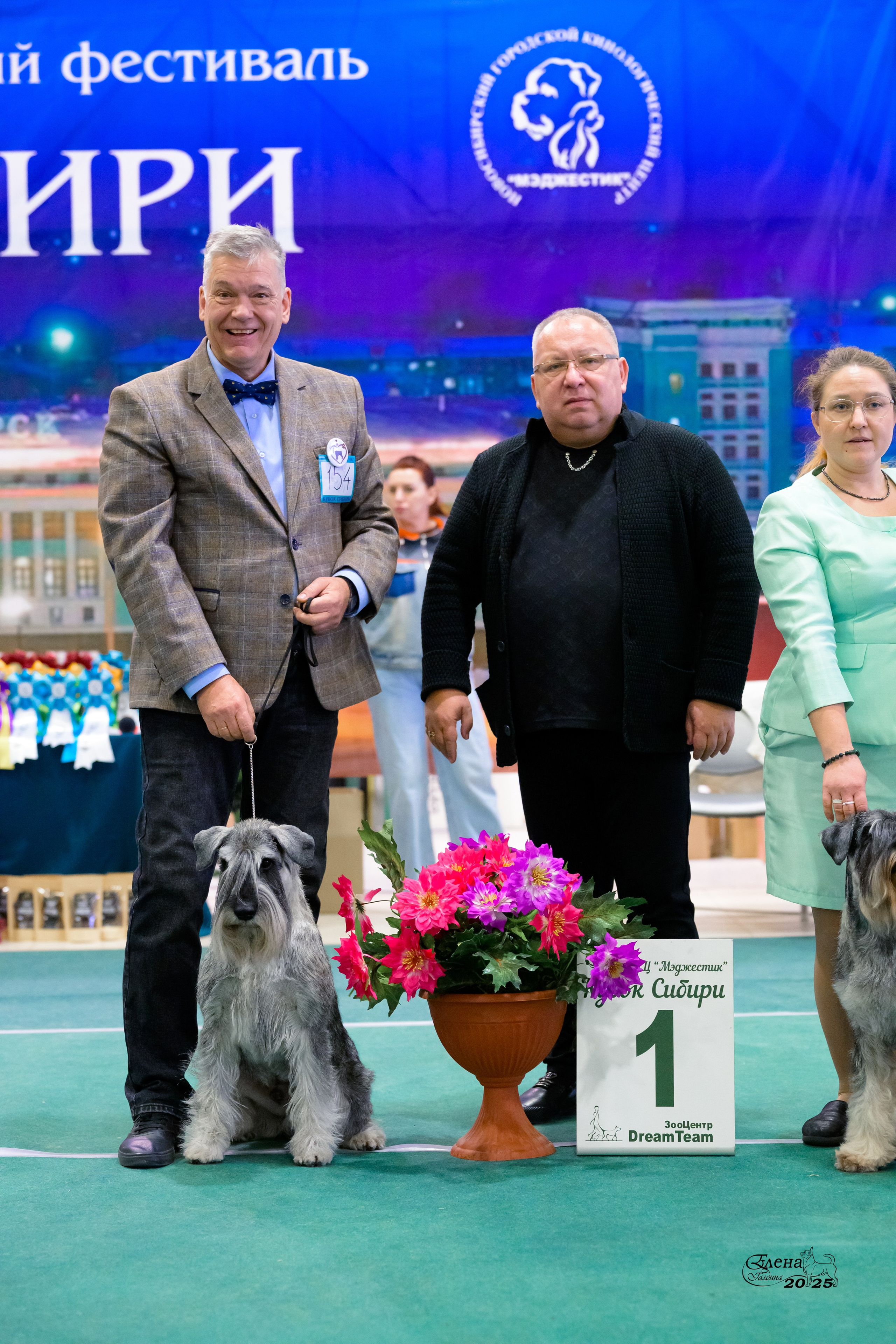 6-7.12.2025 г.Новосибирск. Фотограф анималист Елена Галдина г. Красноярск