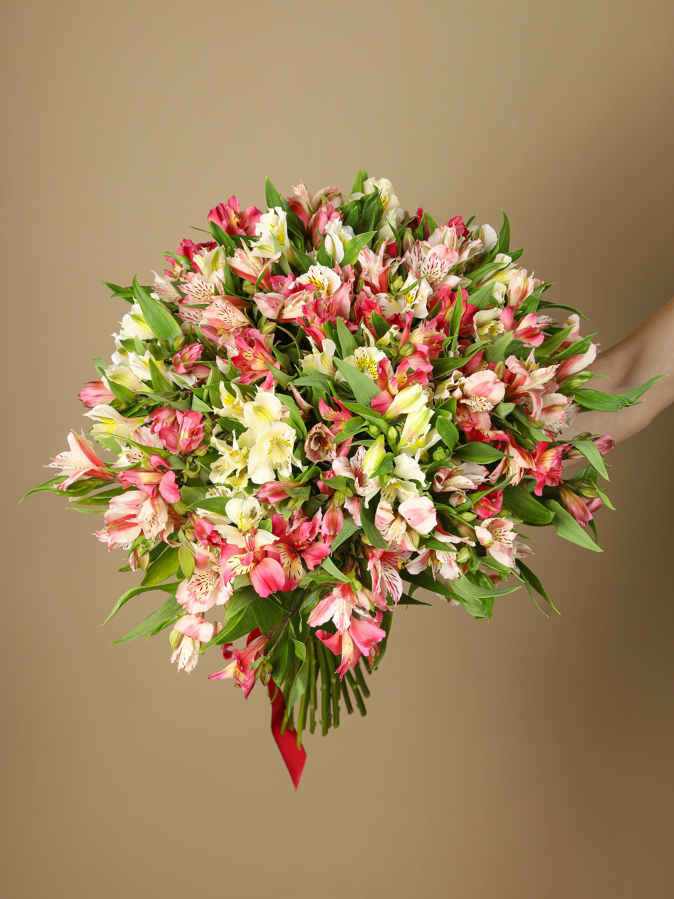 Предметная съемка. Предметный фотограф в Санкт-Петербурге Елена Хлебосолова