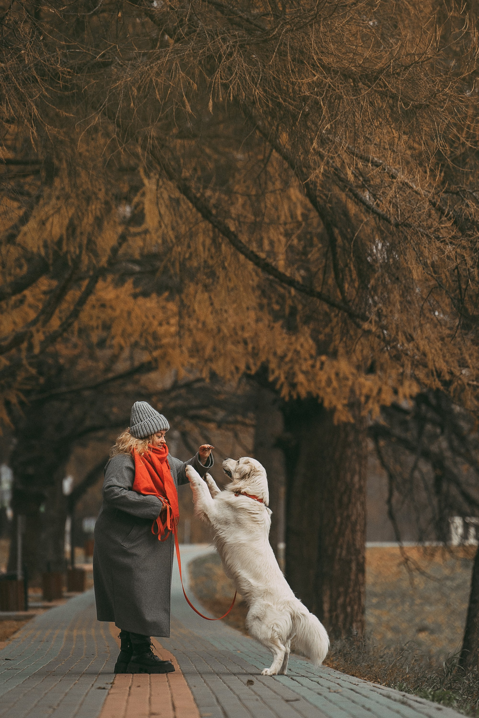 Лена и Мерлин. Фотограф анималист в Москве и Санкт-Петербурге Свиридова Анна