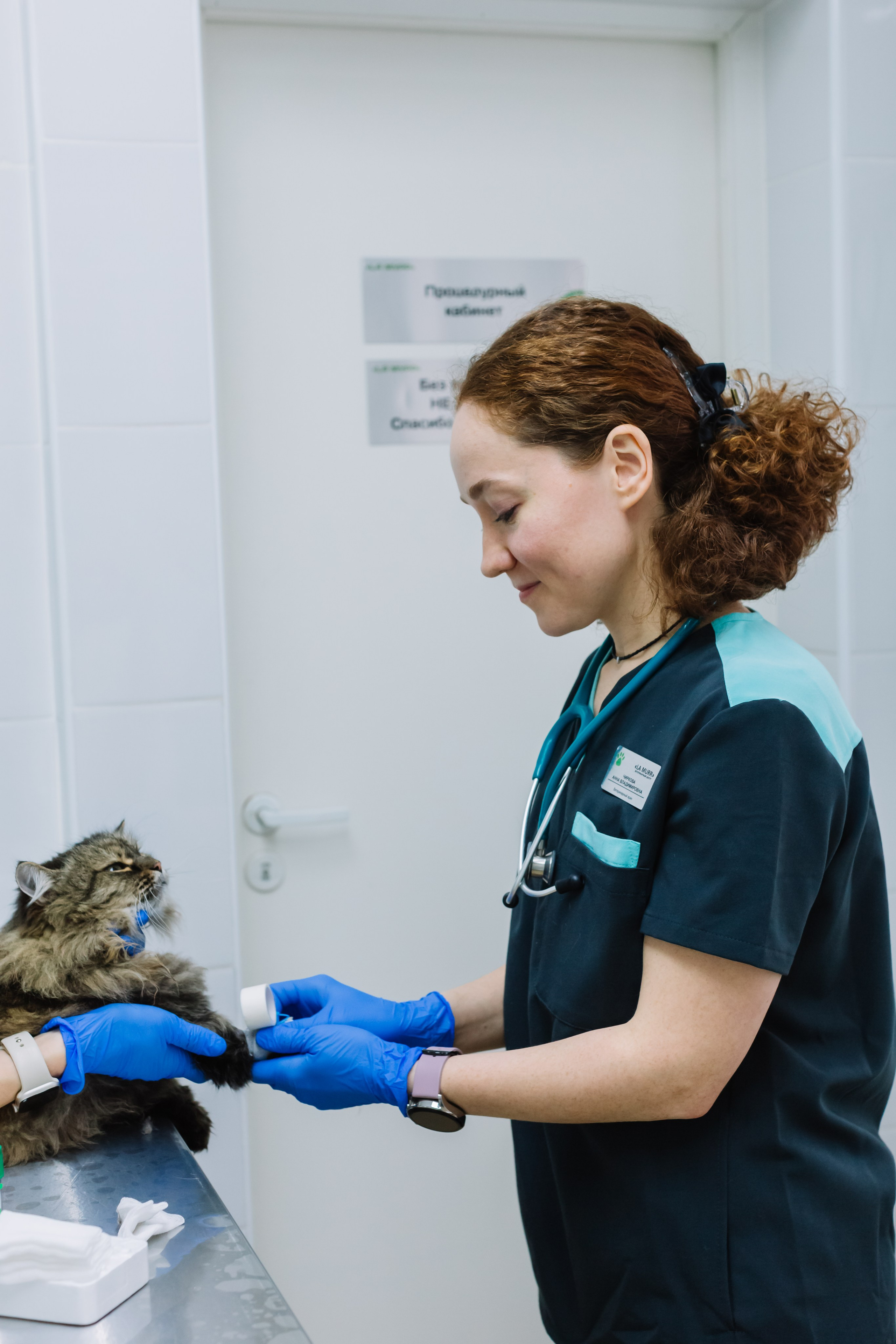 алёна малахова фотограф новосибирск семейный детский домашняя фотосессия в новосибирске день рождения репортажная съёмка фотосессия с лошадьми на конюшне деревня алтай  на природе фотосессия в детском саду мама и сын предложение руки и сердца идея  помолвка фотосессия берег закат детский день рождения годик торт аниматор лофт игровая продолжение следует prodoljenie_sleduet_  корпоратив тимбилдинг первоклашка линейка  контент  бизнес портрет оперный новат франция берет весна девушка