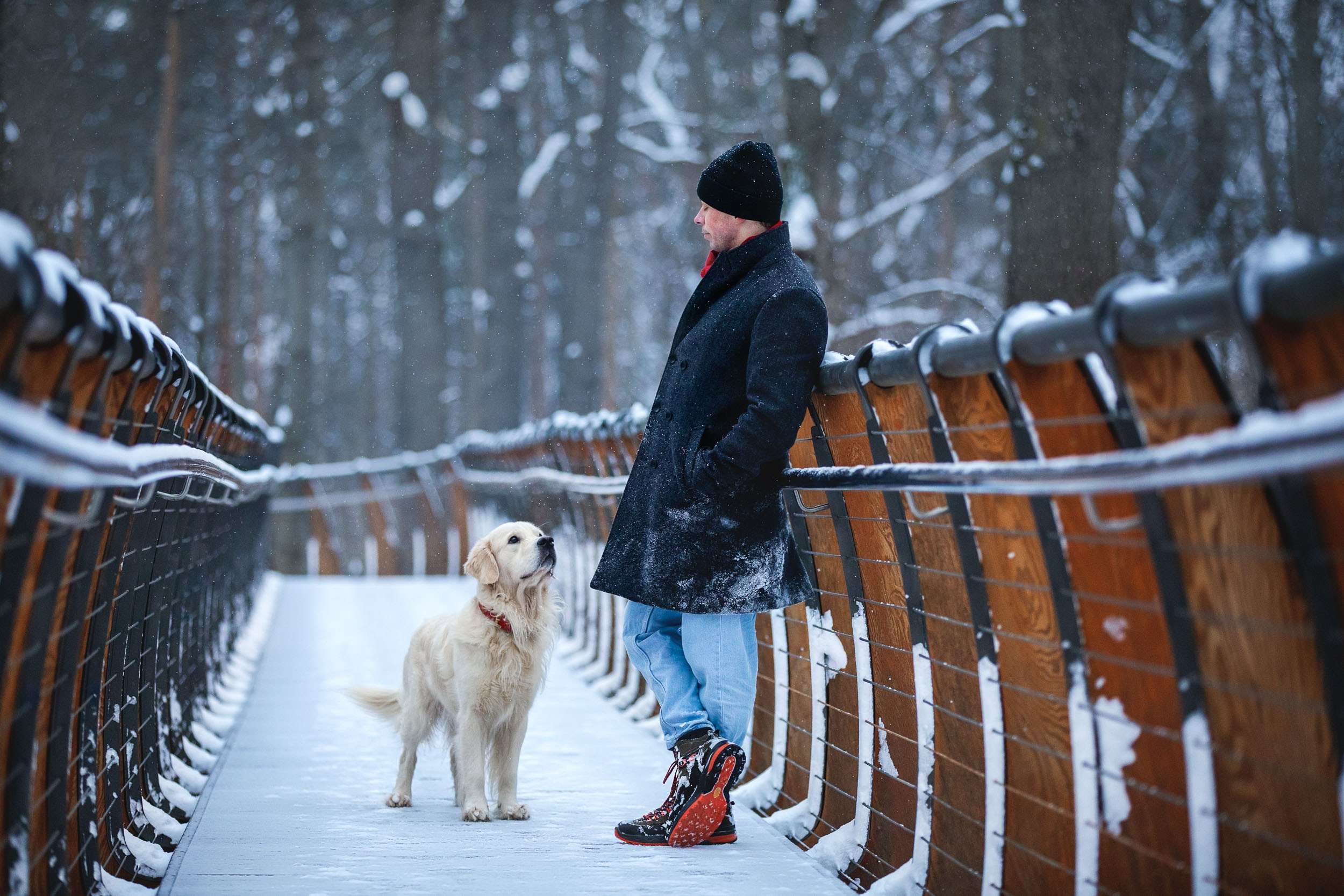 Фотосессия хозяина и ретривера. Фотограф-анималист в Москве и Московской области Татьяна Фролова