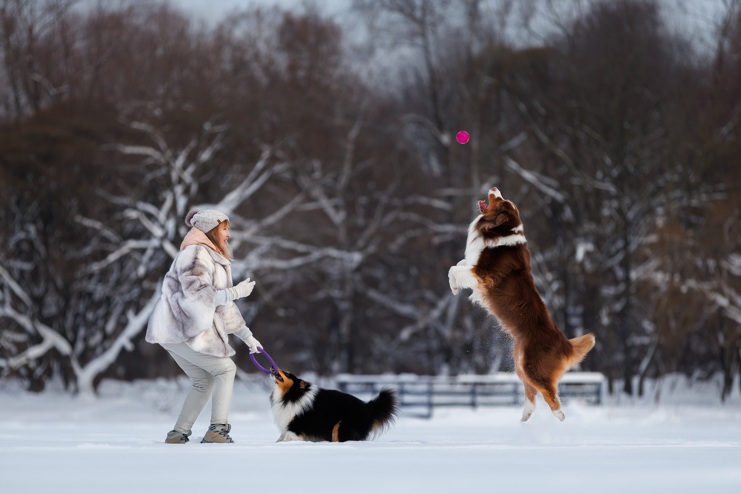 Марик и Дэн. Фотограф-анималист в Москве и Московской области Татьяна Фролова