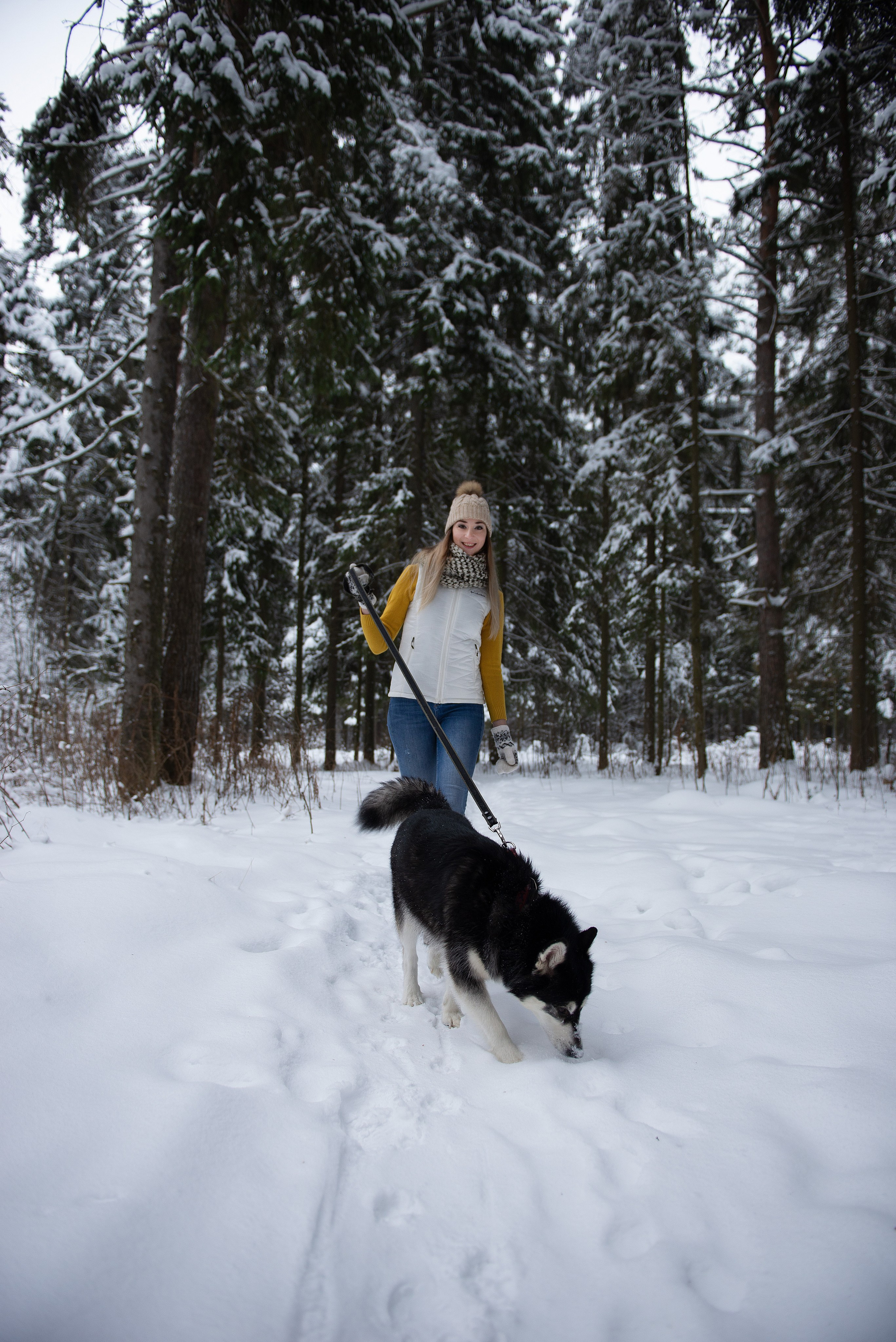 Зимний лес прекрасен. Творческий фотограф Вологда