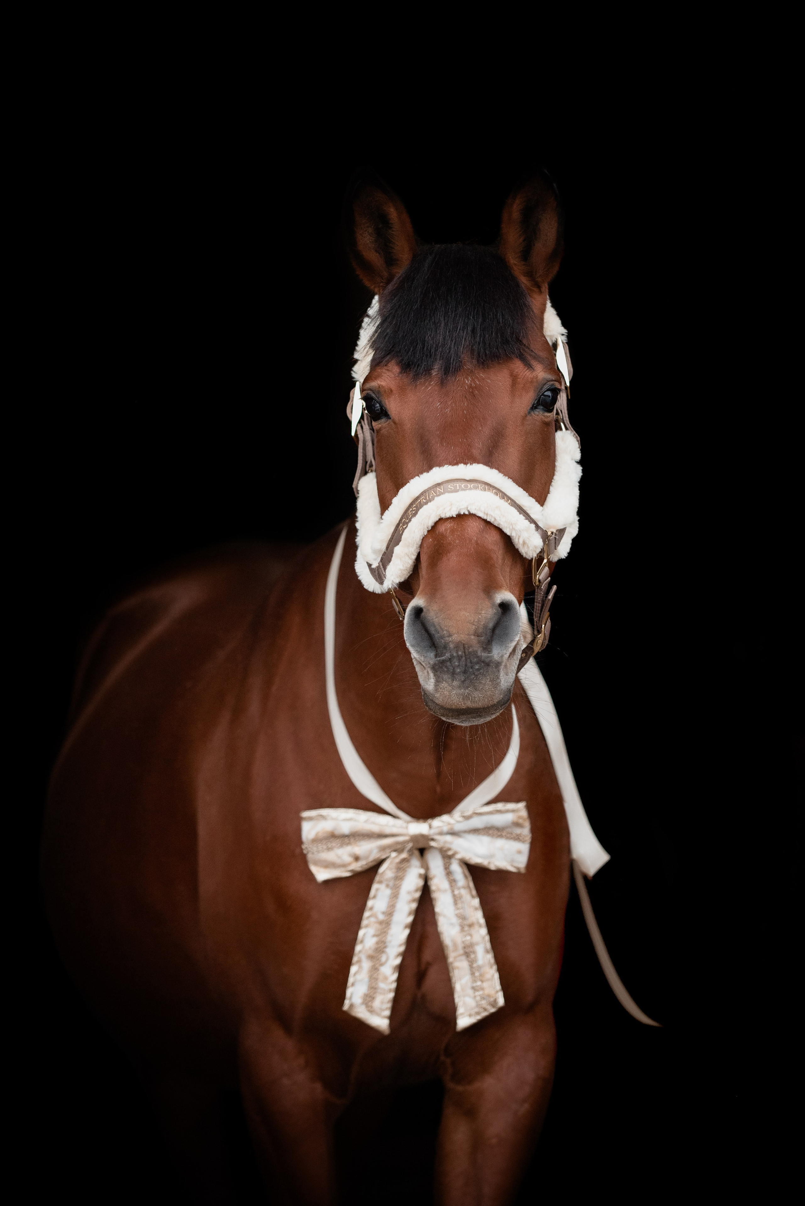 Зимний Настасьин табун. Куракина Дарья • Конный фотограф