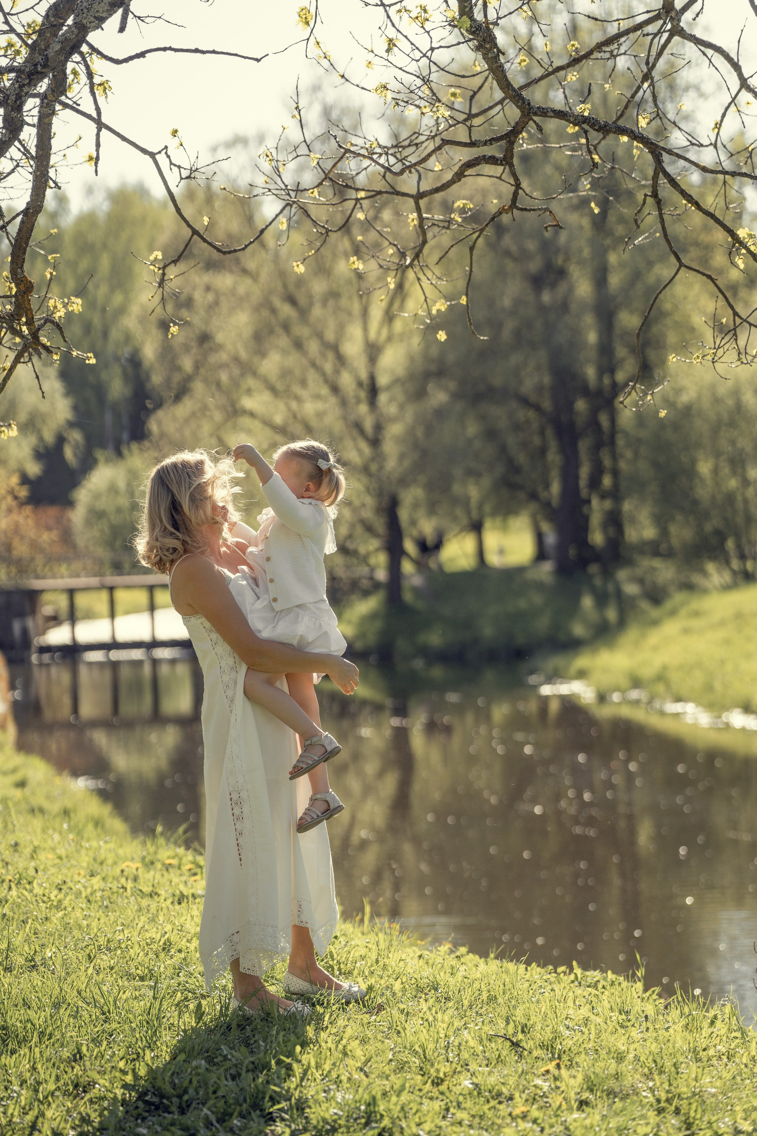 Фотопрогулка в Павловском парке
