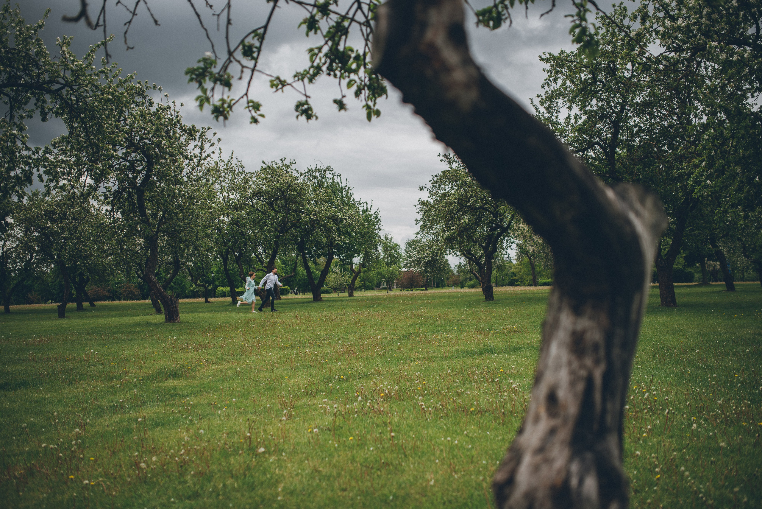 Свадебный и портретный фотограф Диана Першай