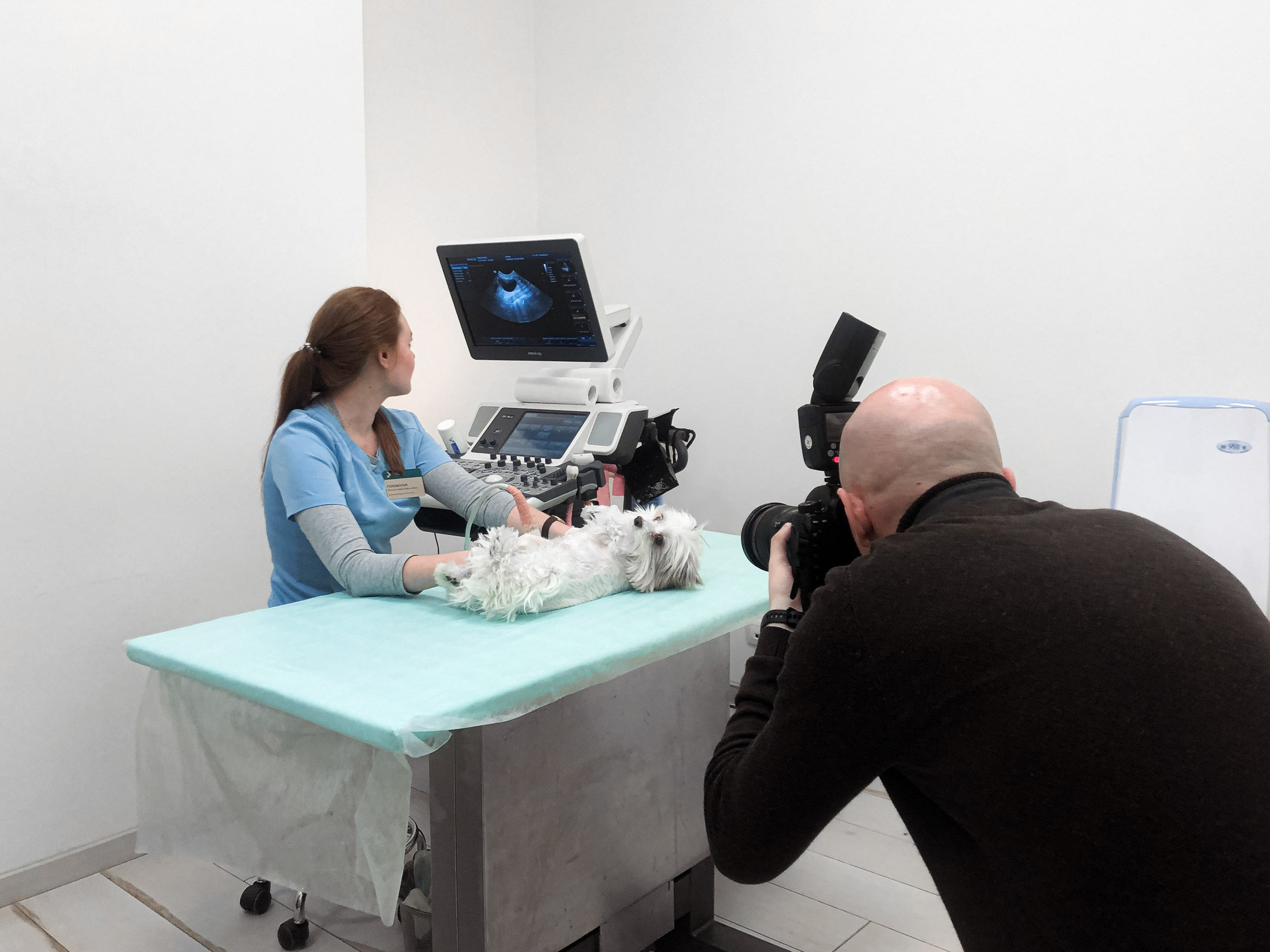 Рекламная фотосессия для ветеринарной клиники "Прайд"