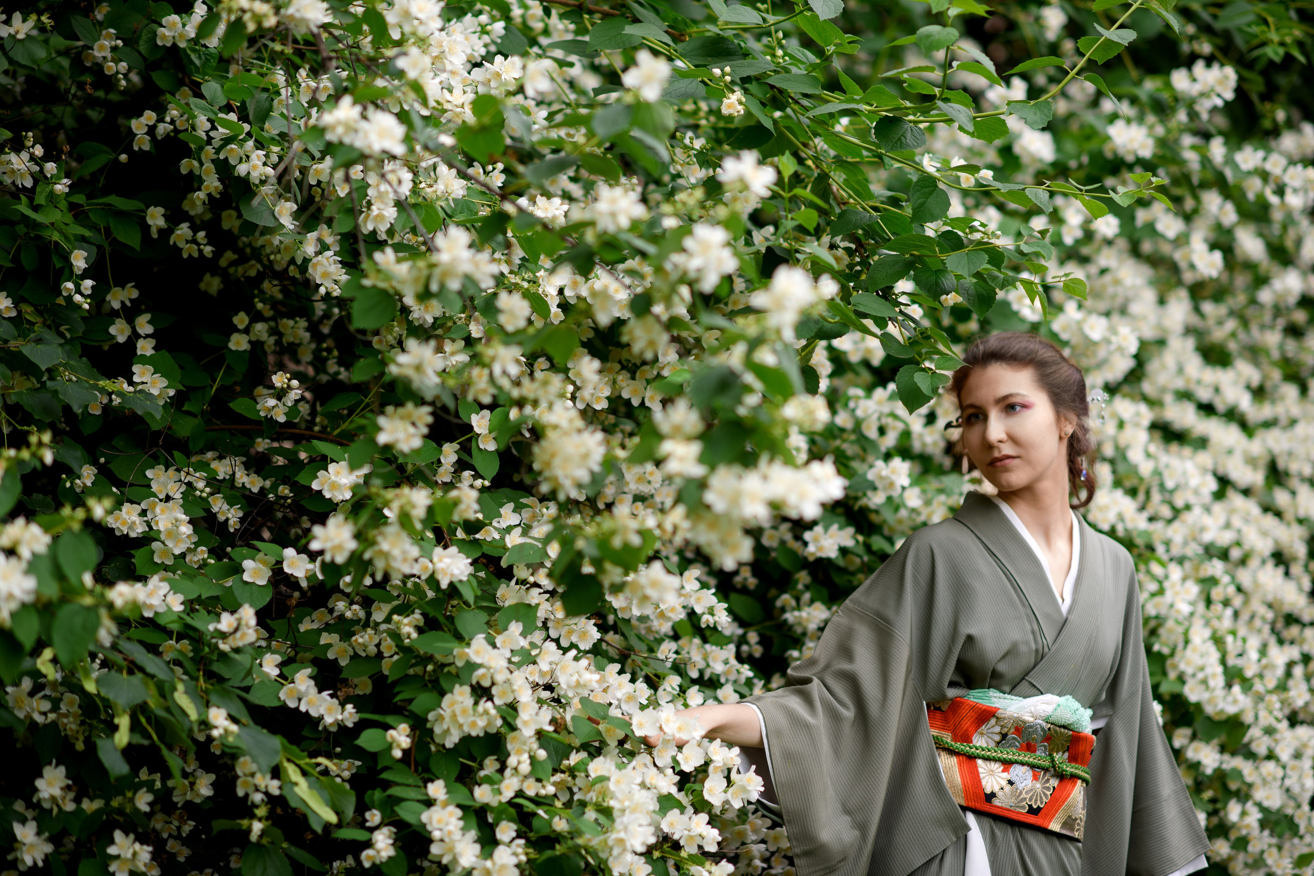 Фотосессия в цветущем чубушнике в саду им. Баумана. Главная