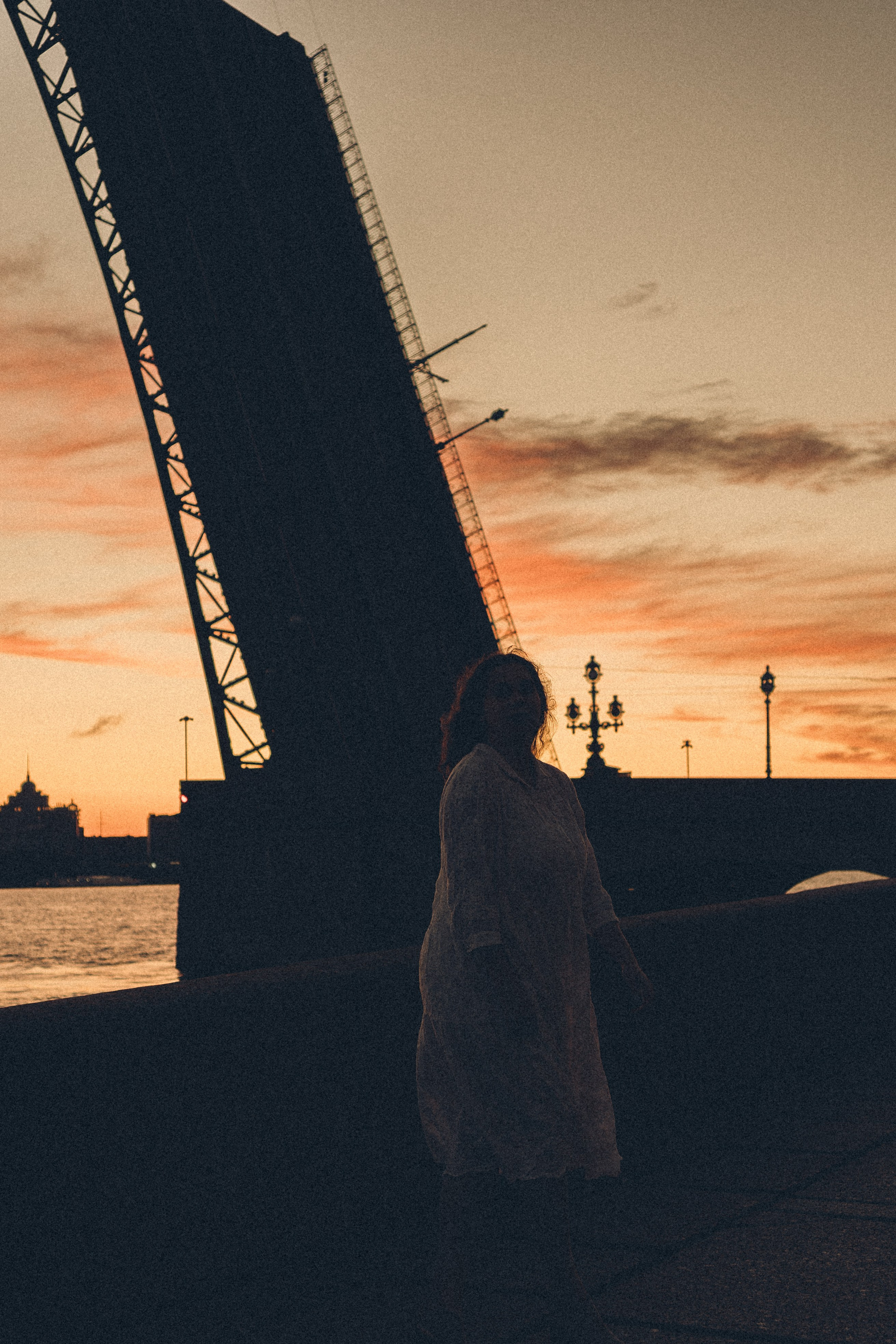 РАССВЕТ С РАЗВОДНЫМИ МОСТАМИ. Профессиональный фотограф, Санкт-Петербург — Виктория Богомолова