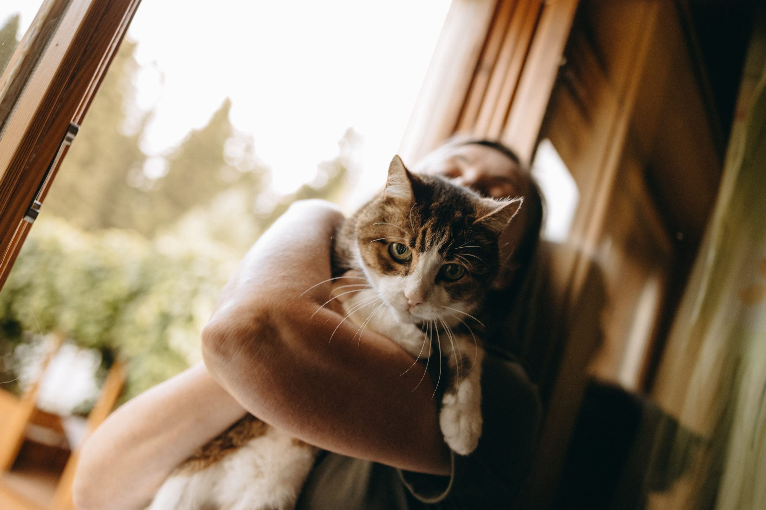Дом у реки. Фотограф — Анималист | Санкт-Петербург