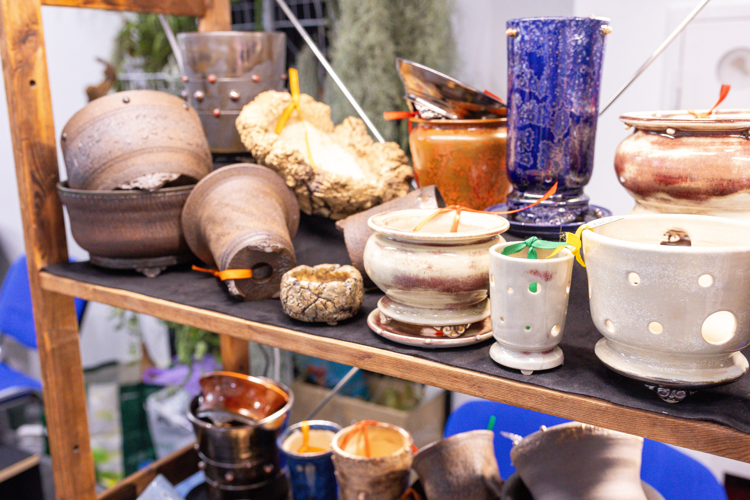 Орхидиум май 2025. Александра Куликова фотограф, Москва