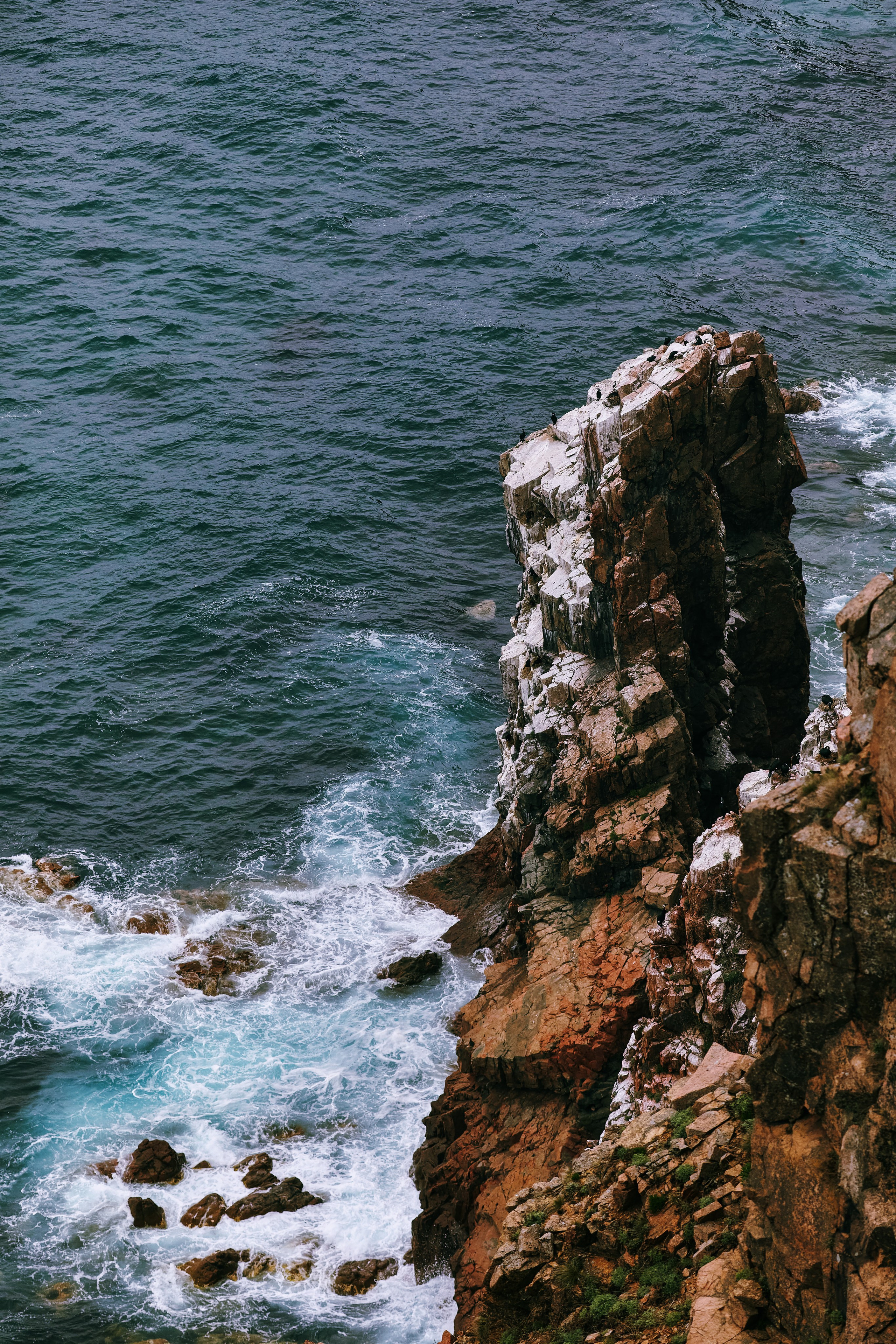 Остров Шкота, фото с вершины