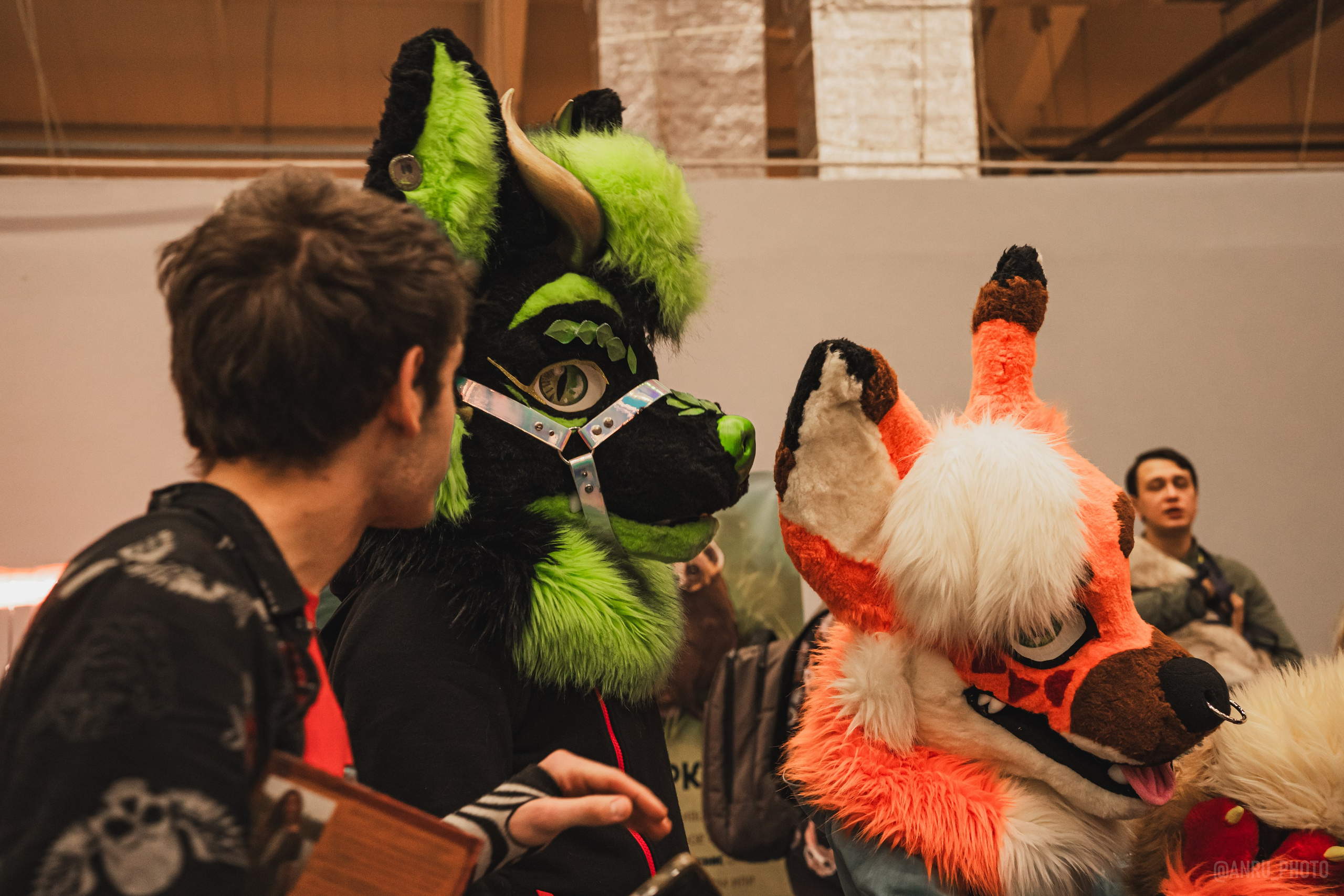 Fox Family fest. Репортажный фотограф Анастасия Рубцова