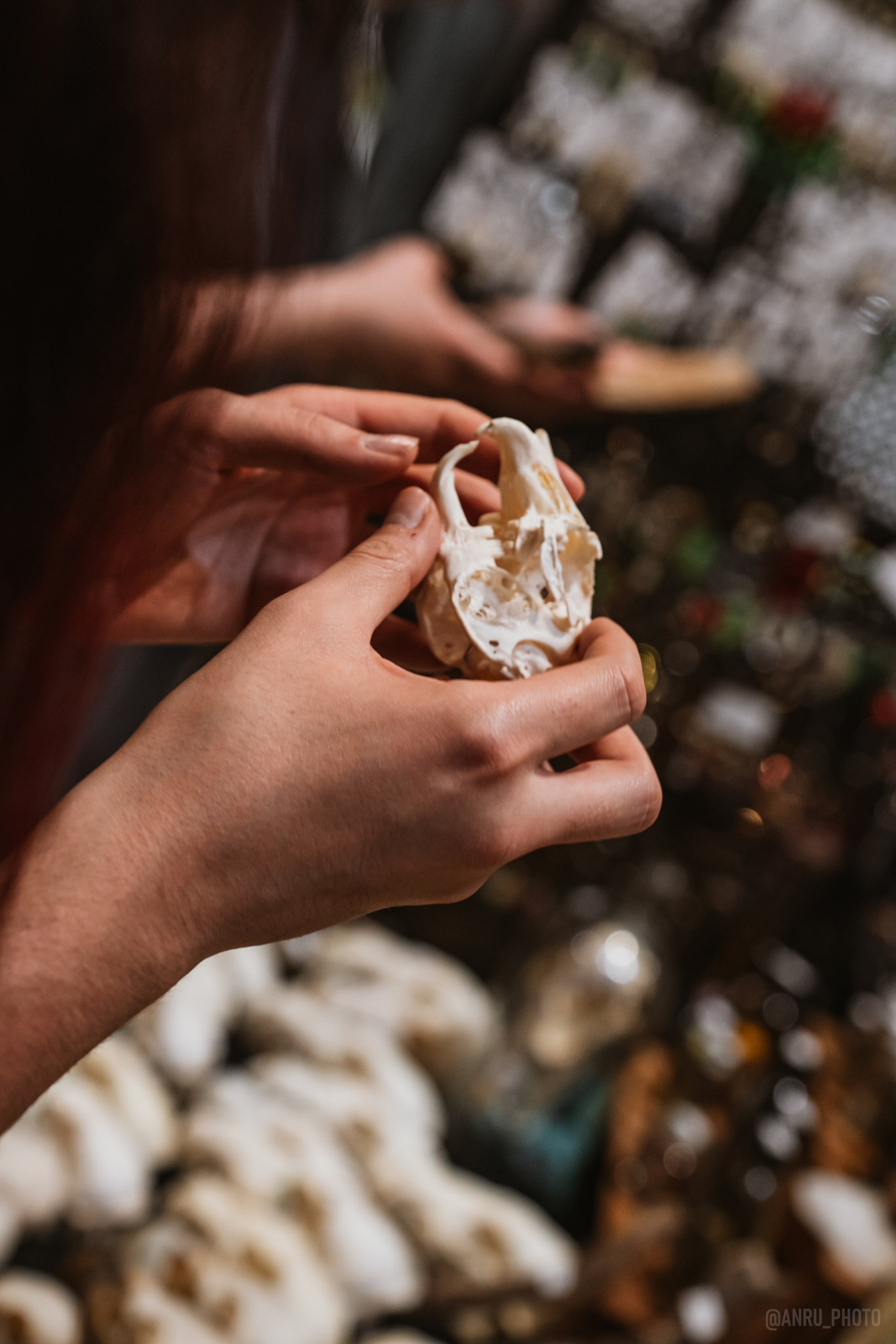 Рептилиум. Репортажный фотограф Анастасия Рубцова