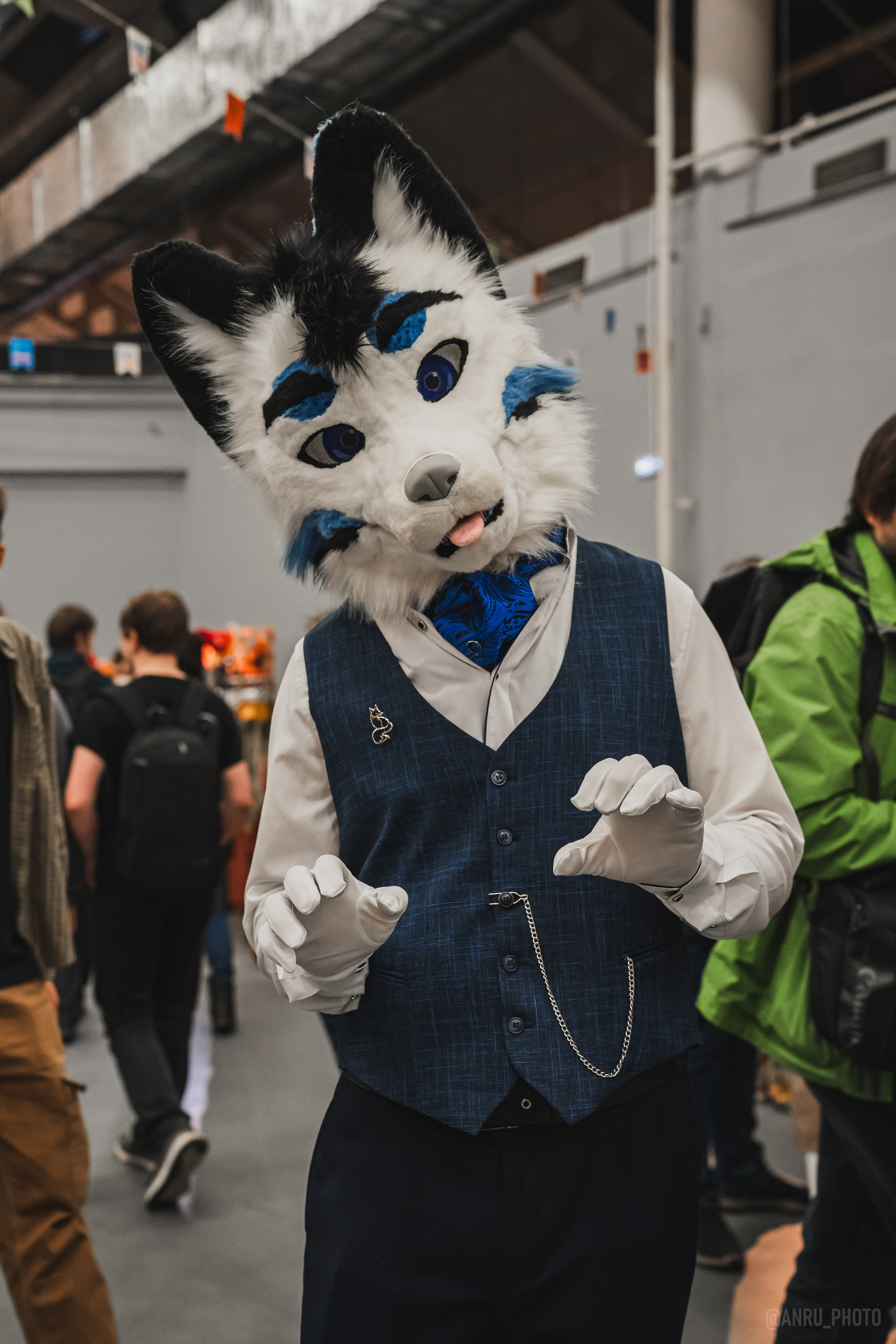 Fox Family fest. Репортажный фотограф Анастасия Рубцова