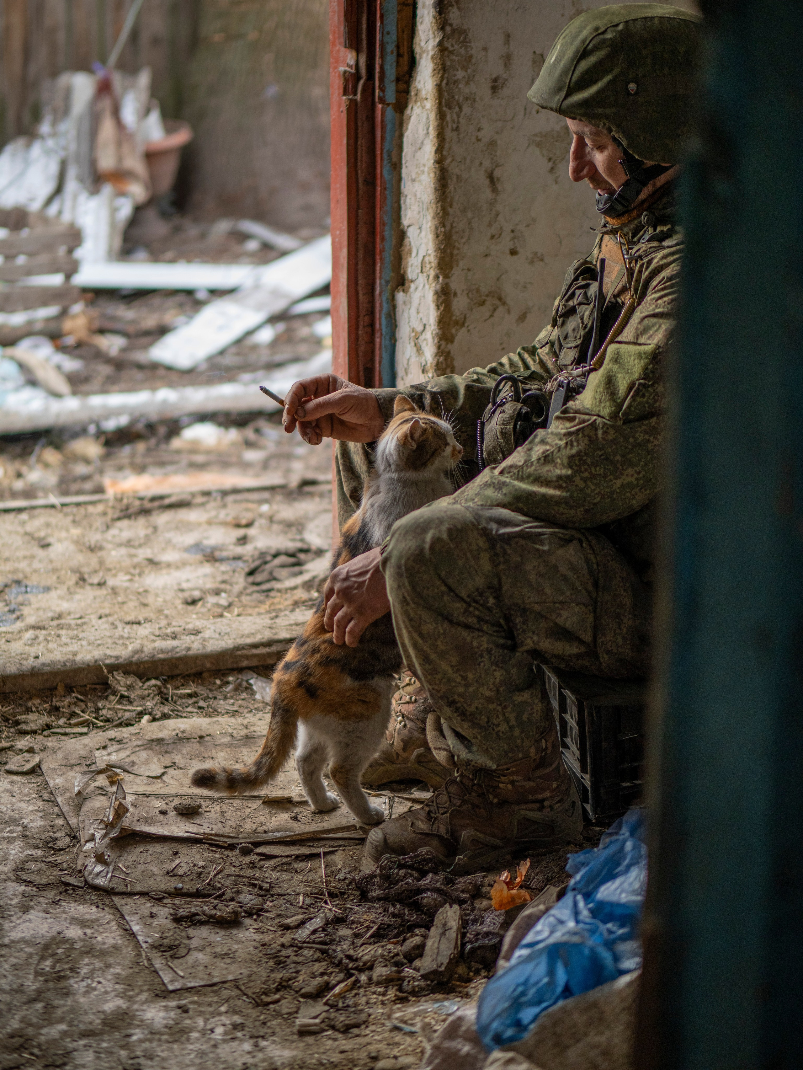 После боя за село Новотроицкое, брошенные хозяевами питомцы приходят к русским солдатам.