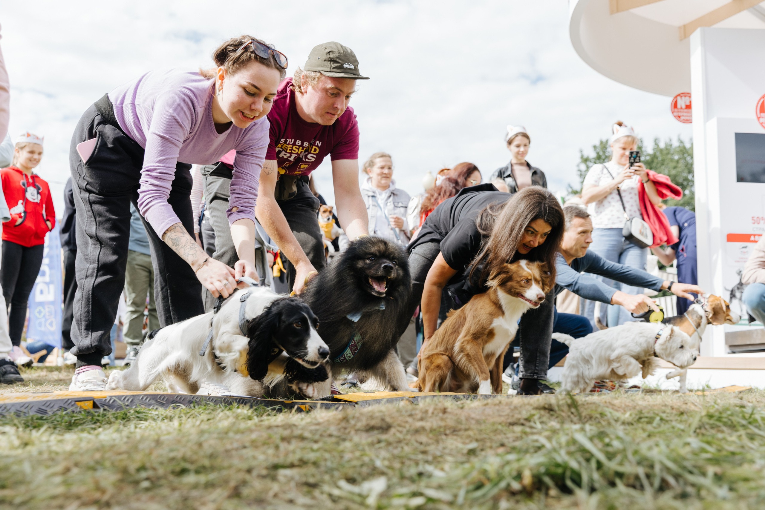 Хвостатый репортаж. Аксана Лисовская фотограф в Москве. Фотографии с характером