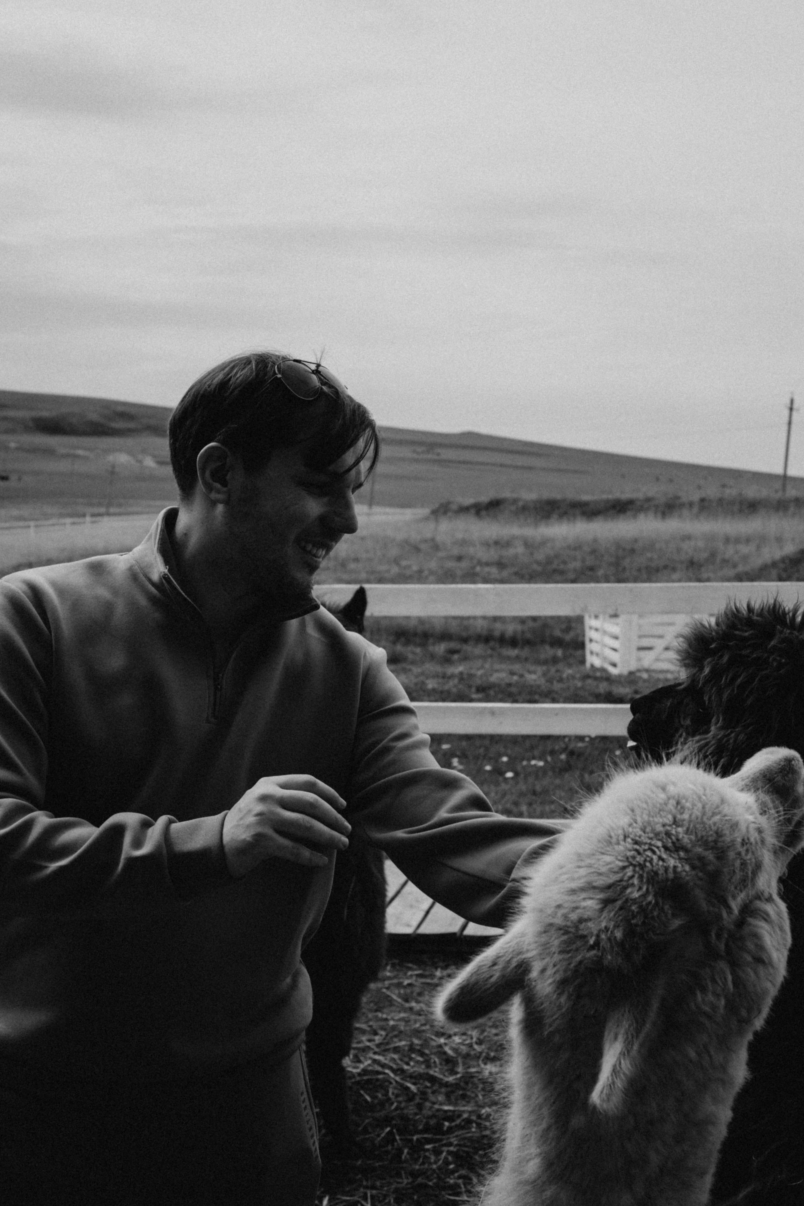 Ферма Альпак. Профессиональный фотограф, Санкт-Петербург — Виктория Богомолова