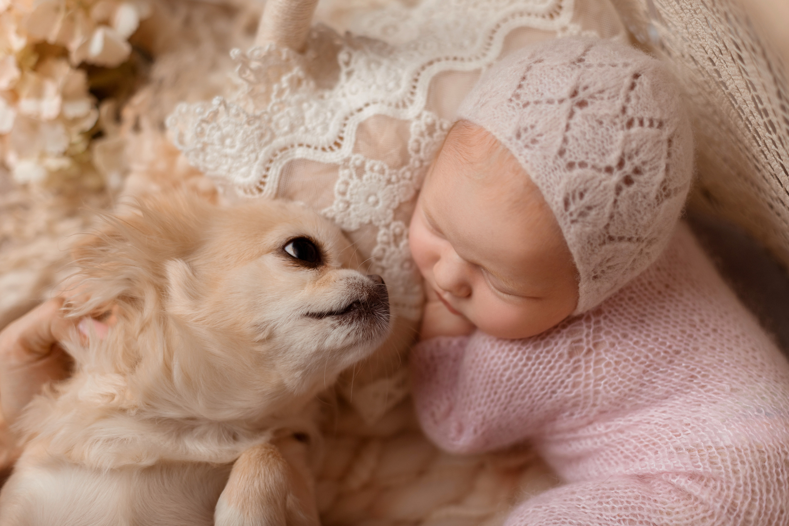 Злата 10 дней (выездная съемка). Детский, семейный и фотограф новорождённых в Ярославле Анна Салова
