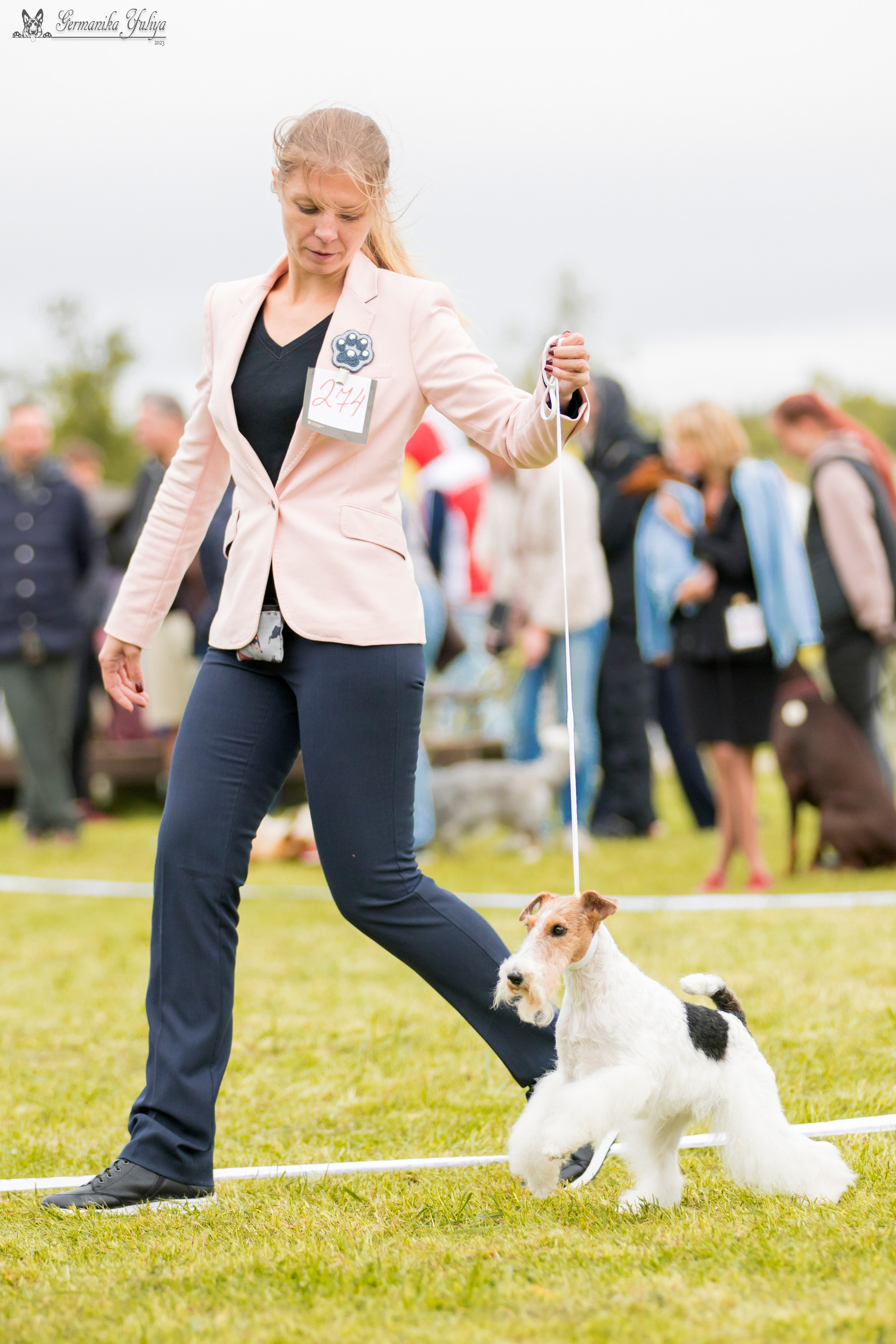 Переславль 9-10.09.2023. Фотограф-анималист Юлия Германика