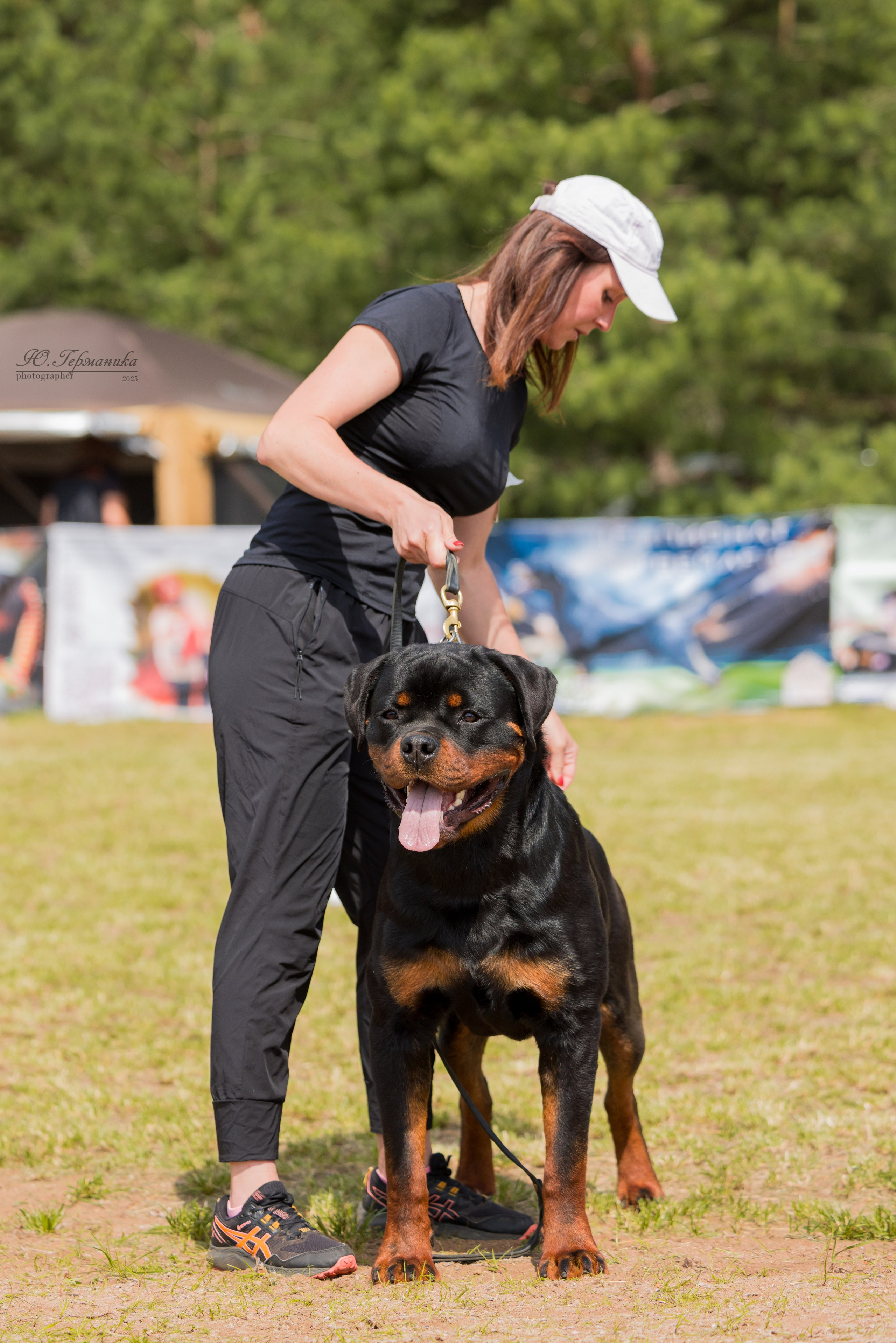 Тверь ротвейлеры 5-6.07.2025. Фотограф-анималист Юлия Германика