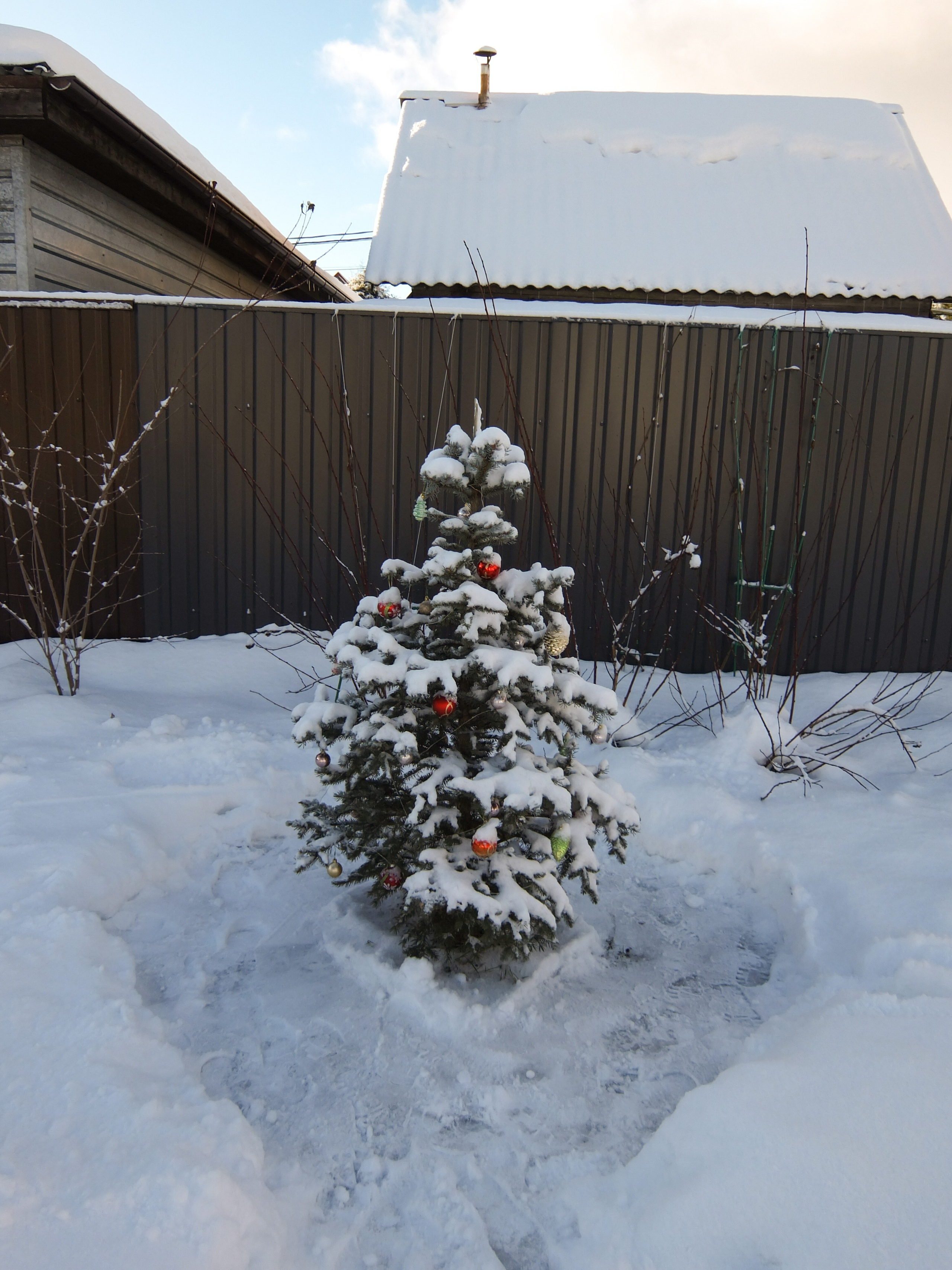 Солнечный день Нового Года. Фотограф-документалист Мария Осокина