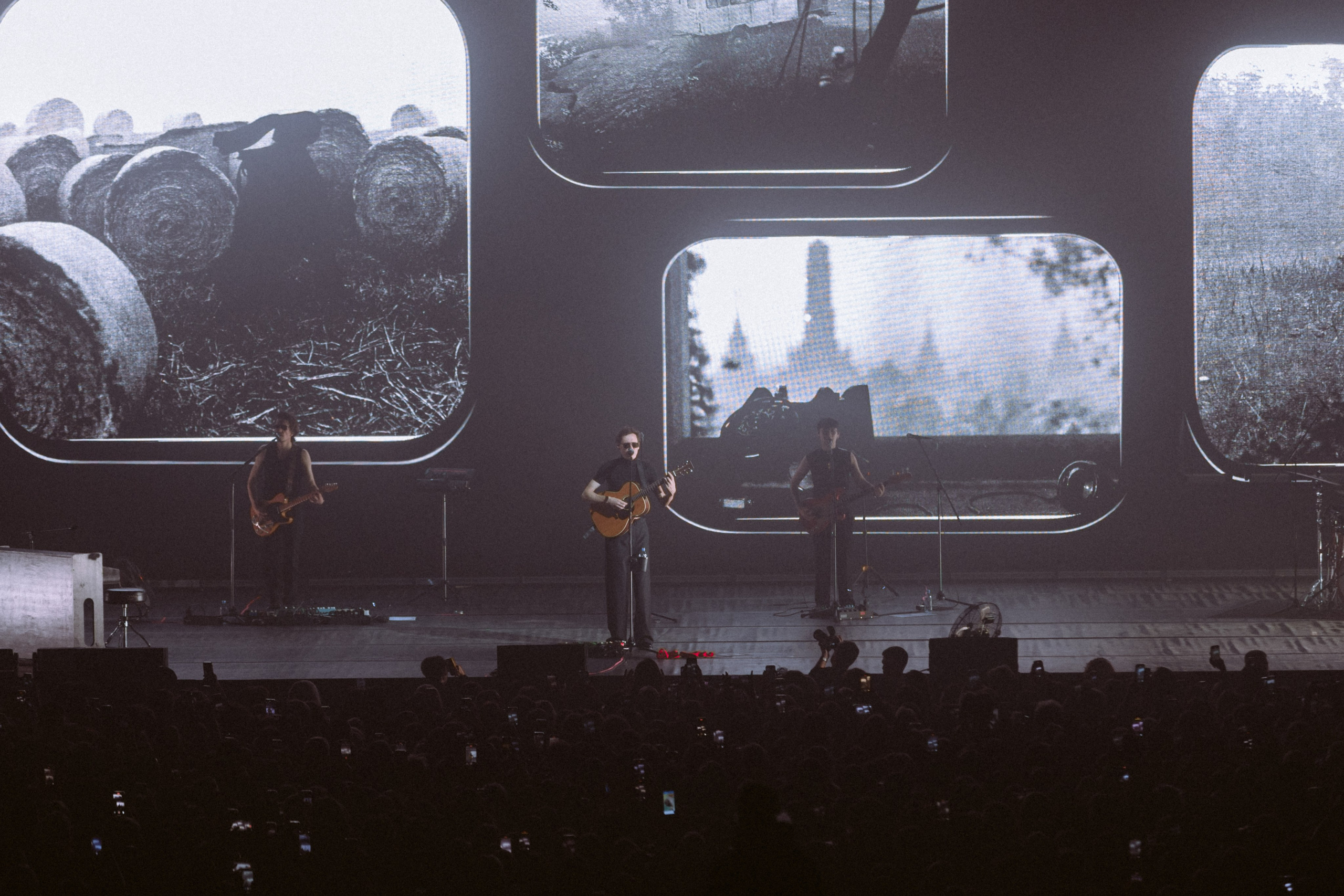 Zoloto в Юбилейном. Фотограф Виктория Дунаевская в Санкт Петербурге