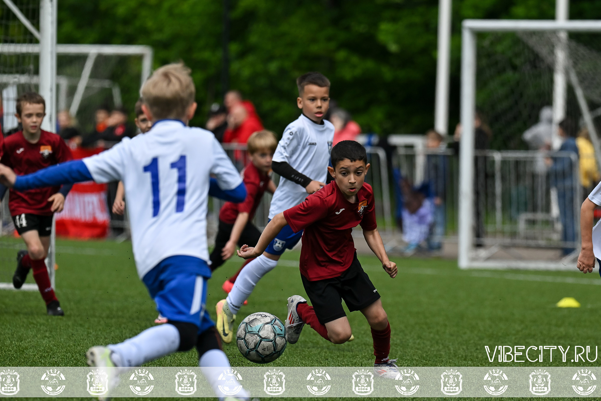 Большие Звезды светят Малым. VIBECITY.RU Вайб Сити Ру Фоторепортажи Фотоотчеты Калининград