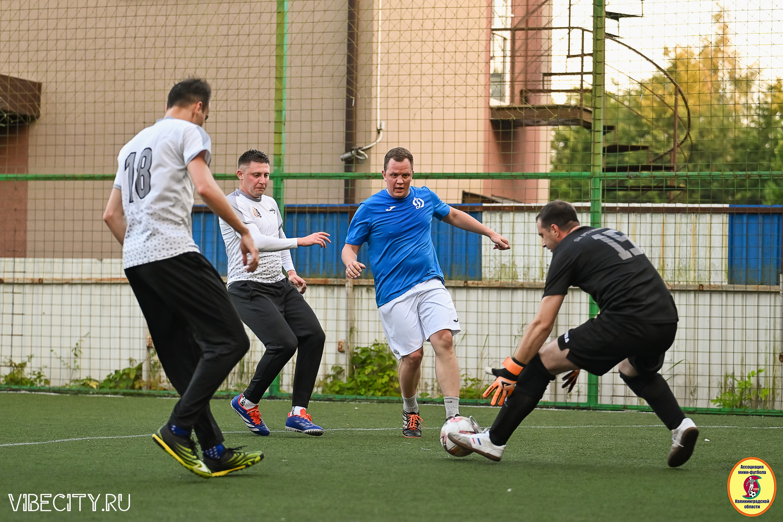 ИГРЫ ПЛЕЙ-ОФФ ПЕРВОГО ДИВИЗИОНА МИНИ-ФУТБОЛЬНОЙ ЛИГИ. VIBECITY.RU Вайб Сити Ру Фоторепортажи Фотоотчеты Калининград