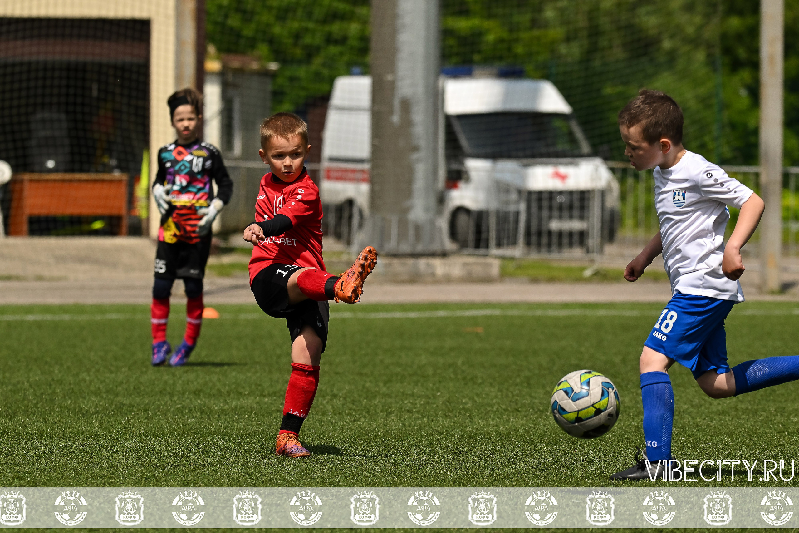 Большие Звезды светят Малым. VIBECITY.RU Вайб Сити Ру Фоторепортажи Фотоотчеты Калининград