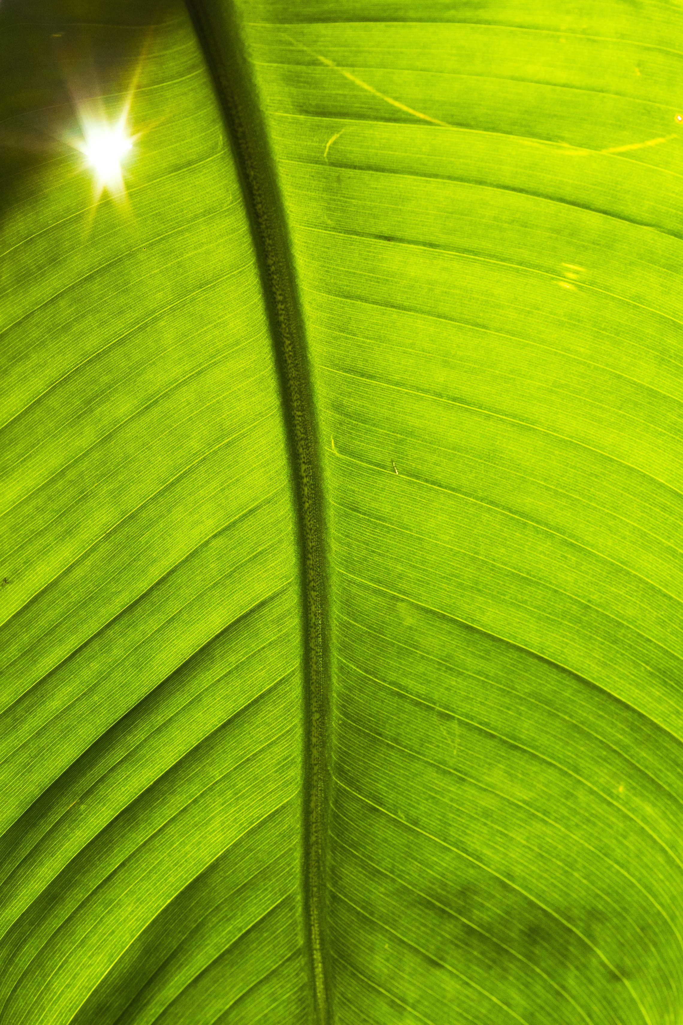 Портфолио контент фото для ресторанов. Контент фотограф в Москве Ник Фрост