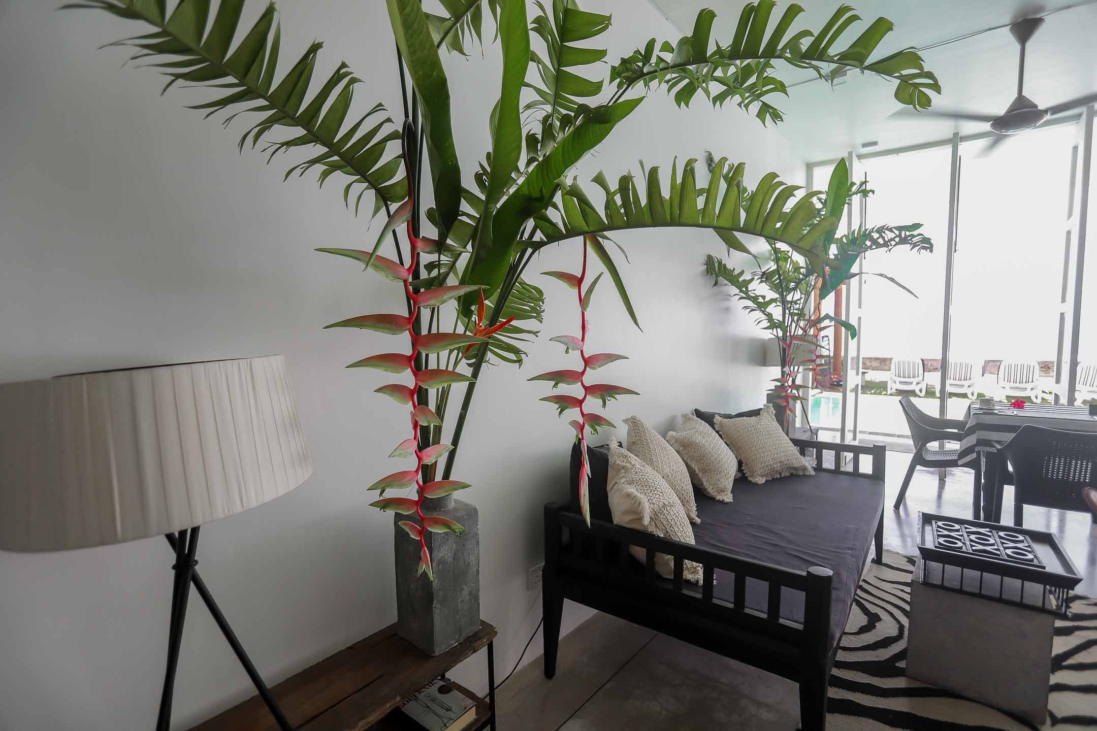 Отель пляж Хабарадува. Фотограф на Шри-Ланке