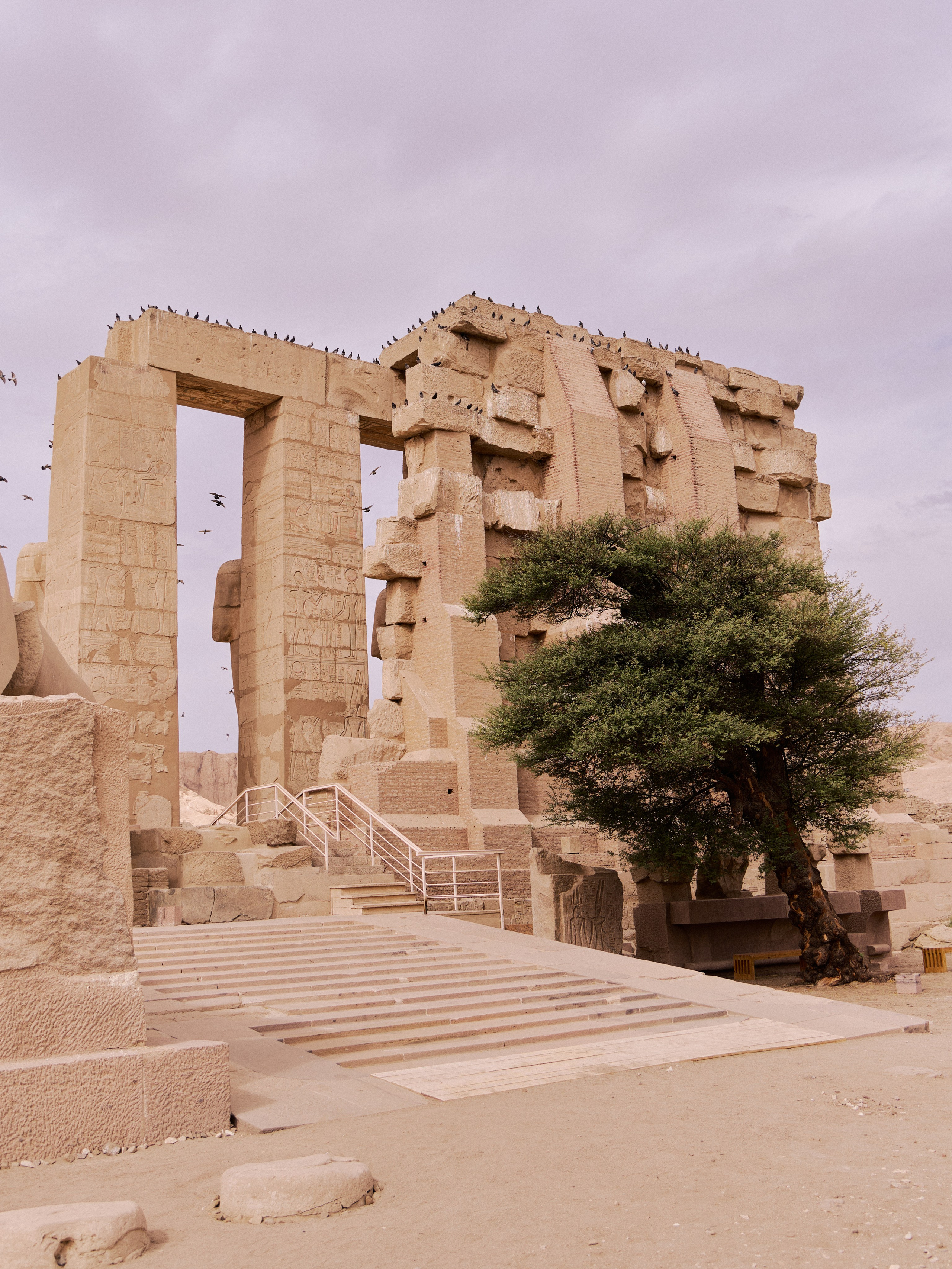 Другое 4. Jorgis — фотограф в Хургаде / обучение фотографии