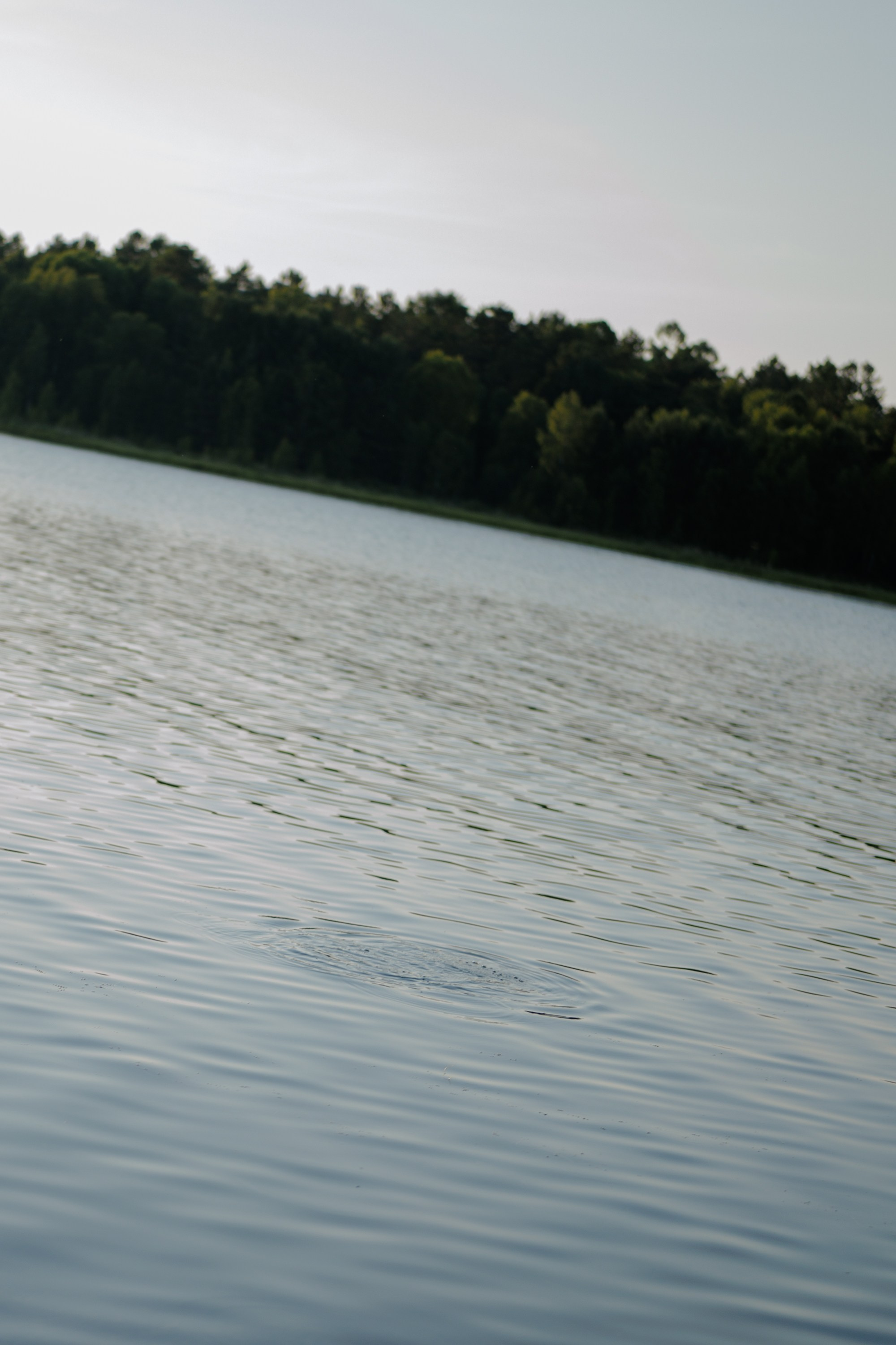 Рядом с тобой я стала лучше. Свадебный фотограф