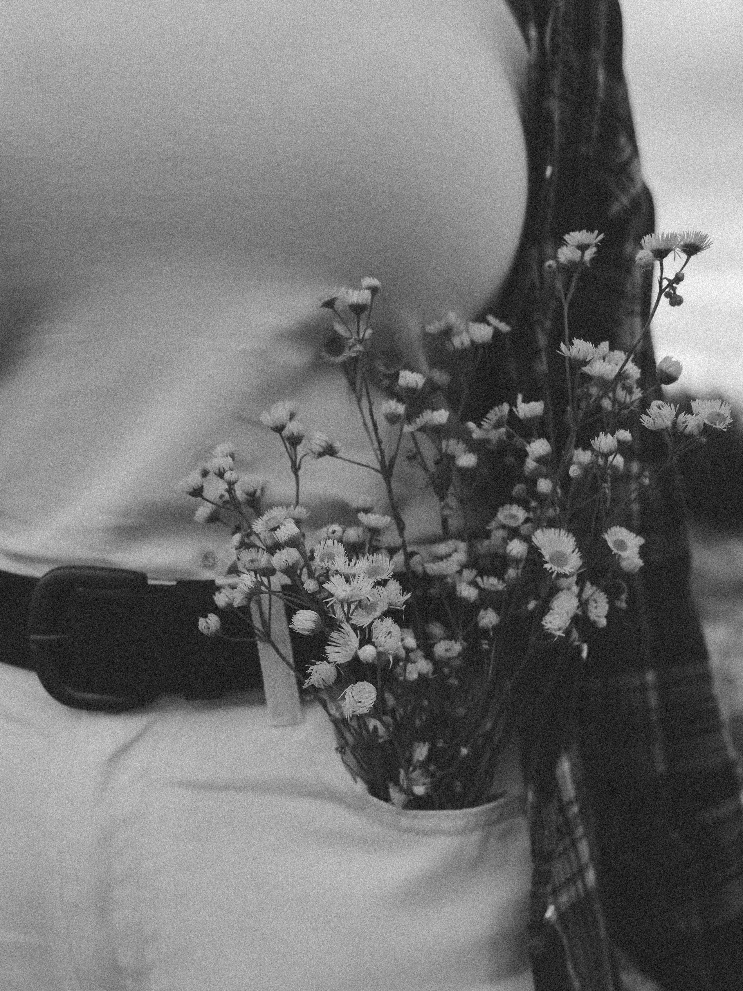 Дарья | Chamomile field. Селивантьева Кира | Фотограф в Москве и МО