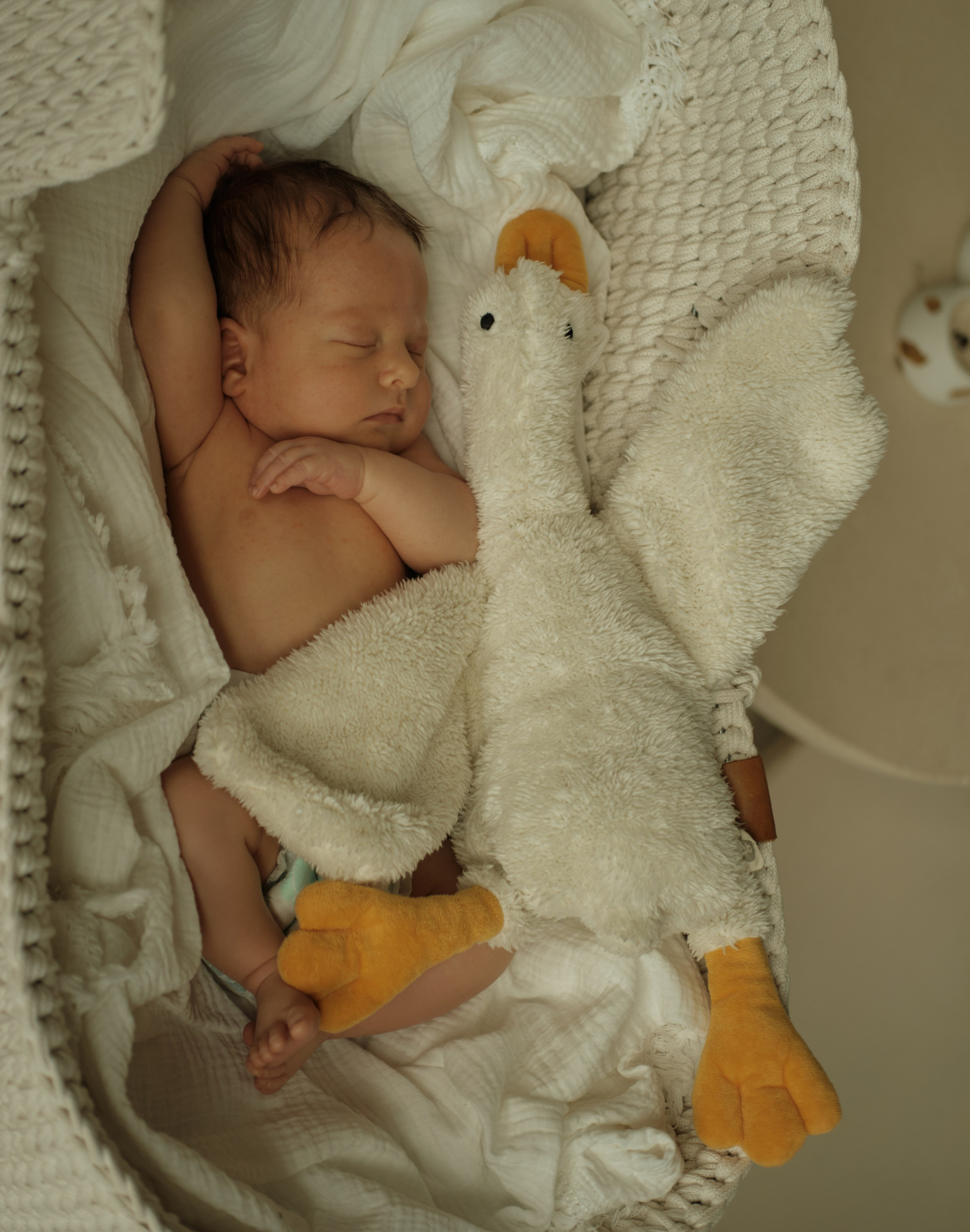 Дом, где растет любовь. Фотограф Карелина Полина