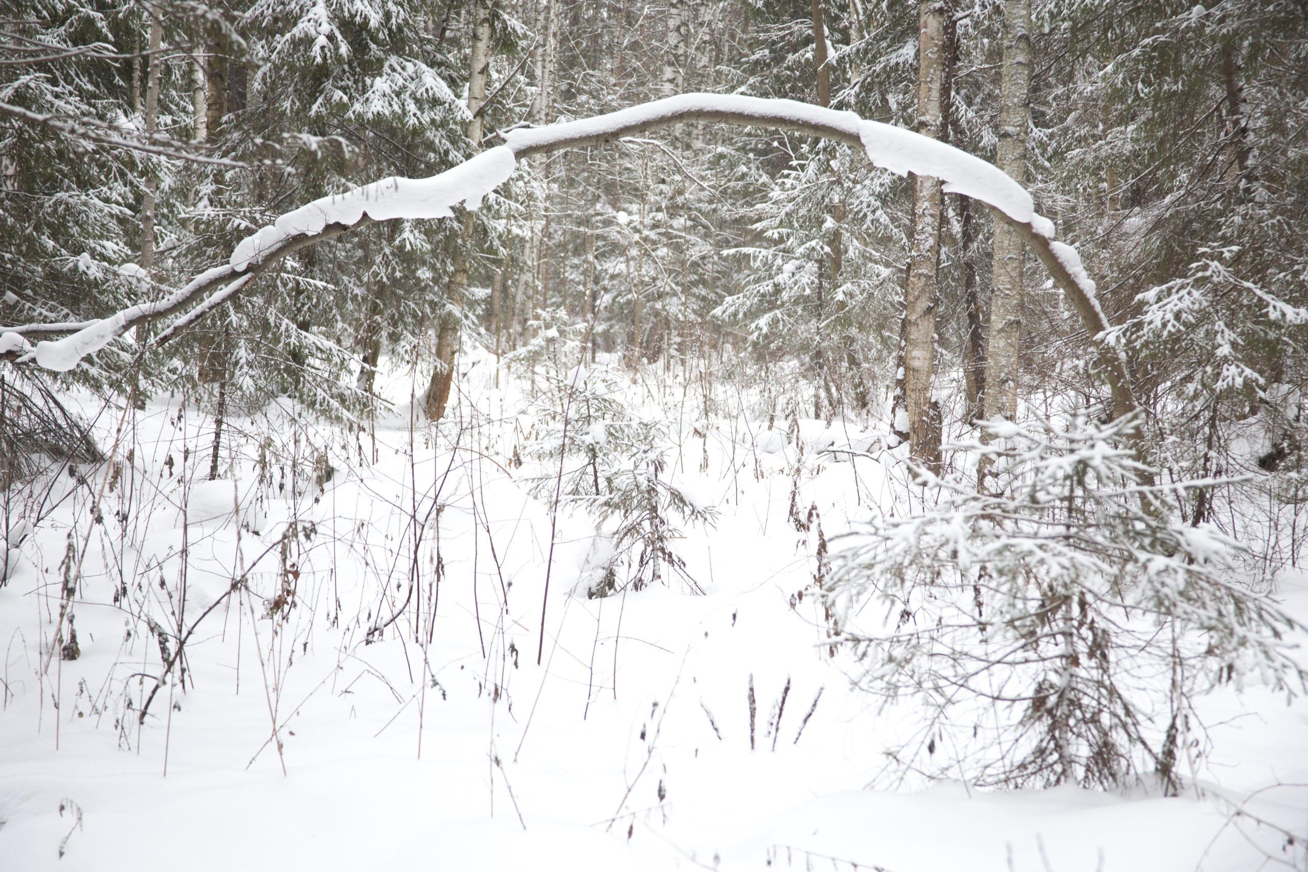 Репортажная фотосъемка в Перми. Фотограф Пермь. Фотосессия в фотостудии Перми и на свежем воздухе