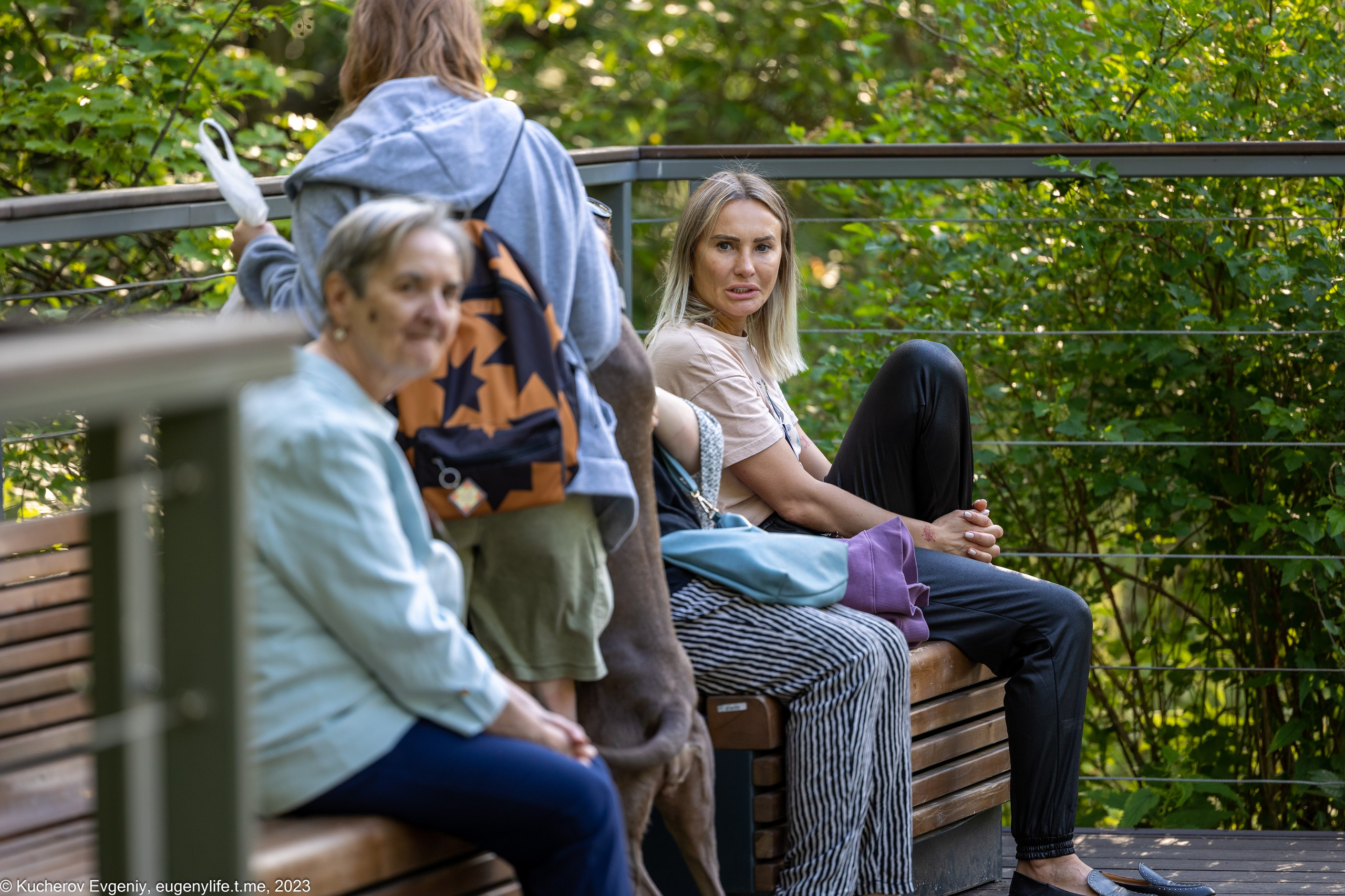 Скамейки. Кучеров Евгений. Фотограф
