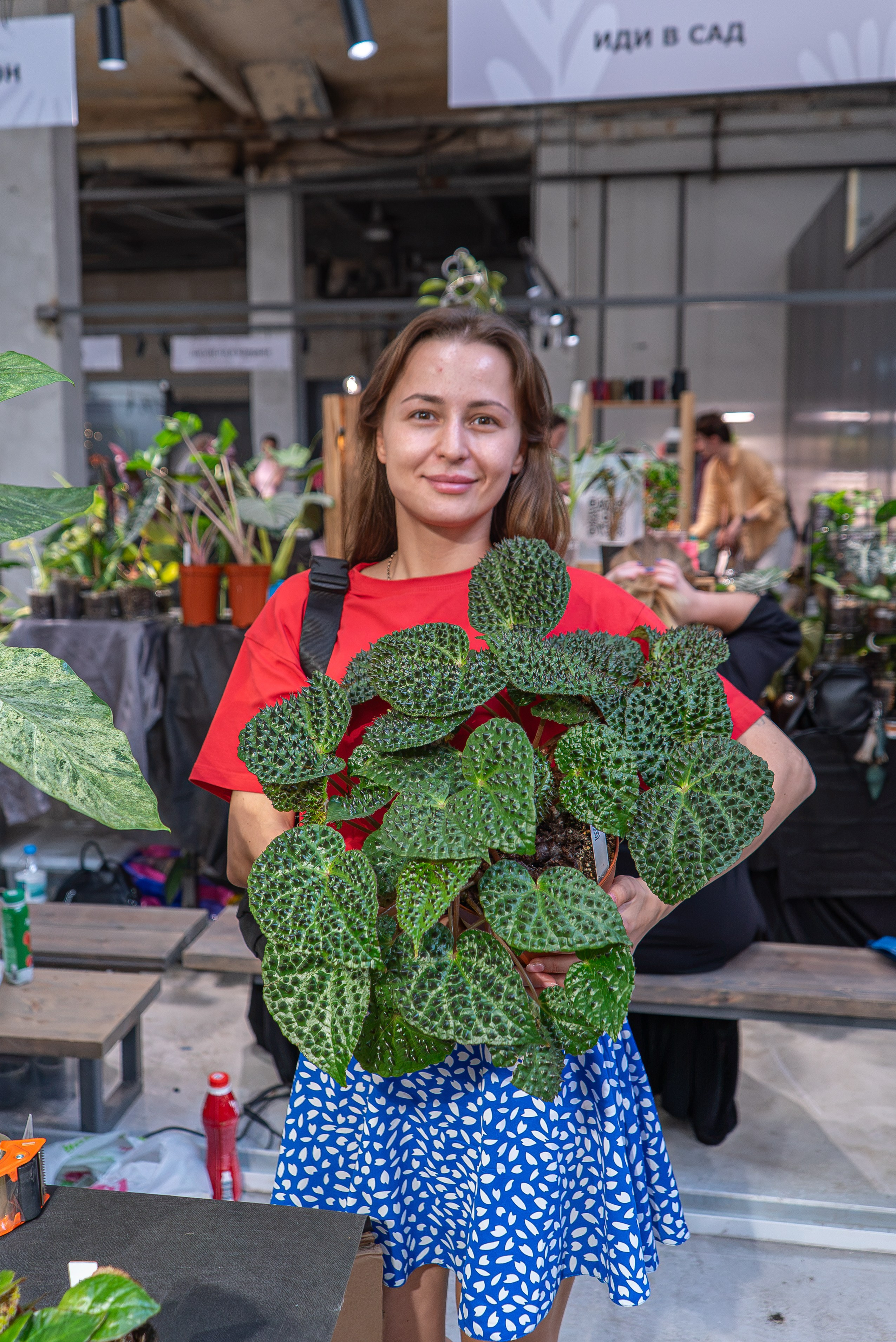 Greenrare август. Александра Куликова фотограф, Москва