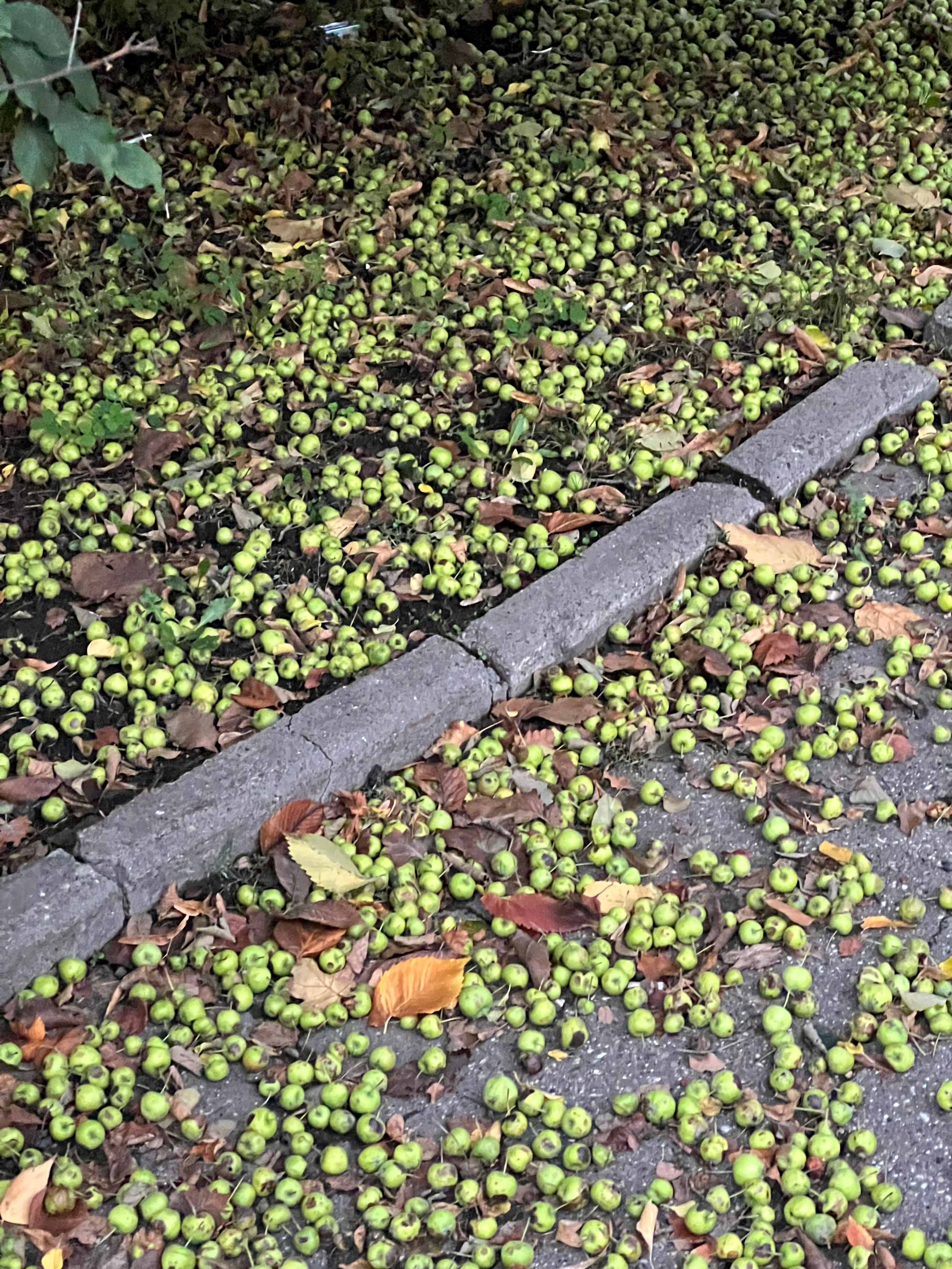 Fragments. Artem Khusainov