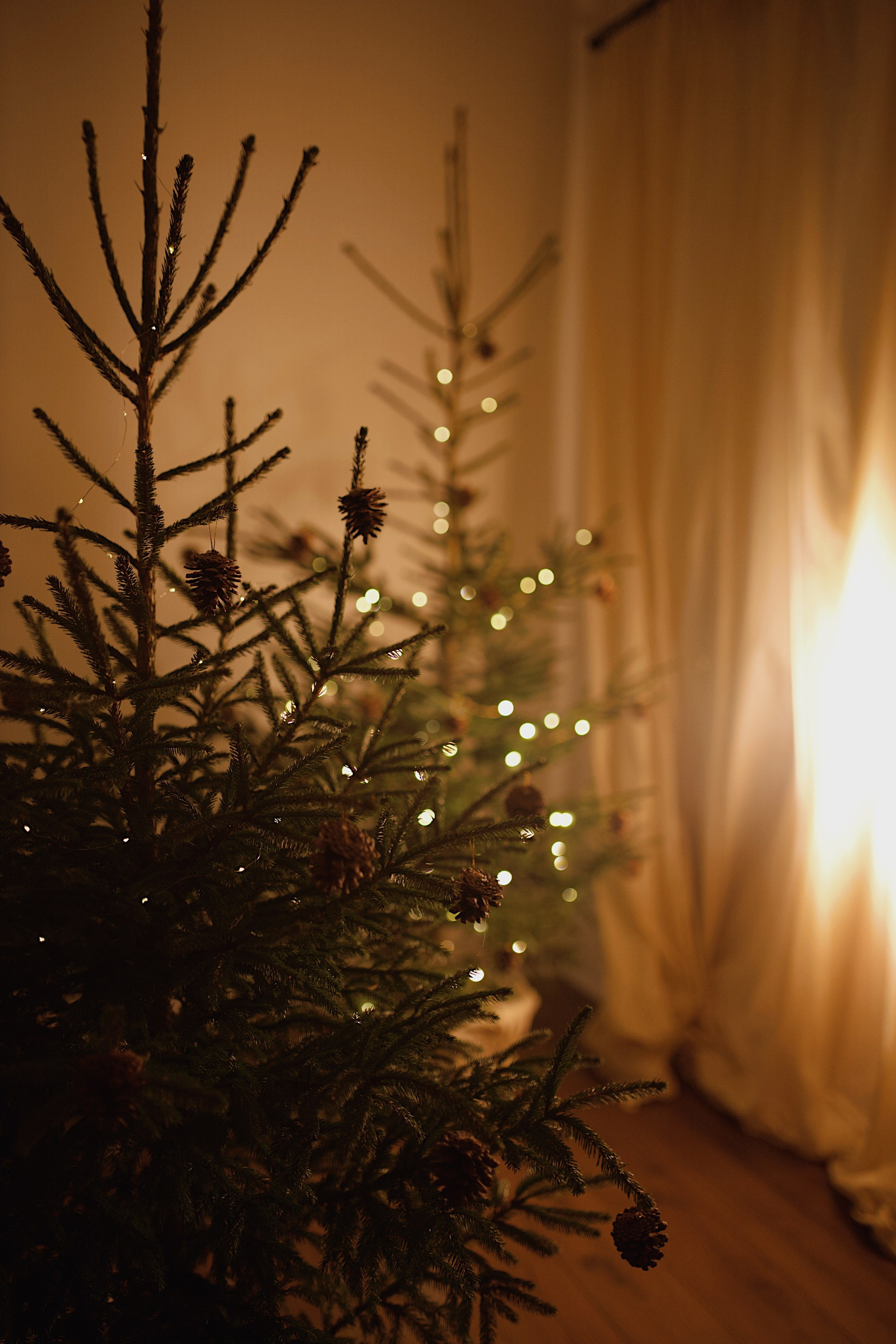 НОВЫЙ ГОД 2026. МАРГАРИТА КУДРЯШОВА СВАДЕБНЫЙ И СЕМЕЙНЫЙ ФОТОГРАФ ТВЕРЬ МОСКВА