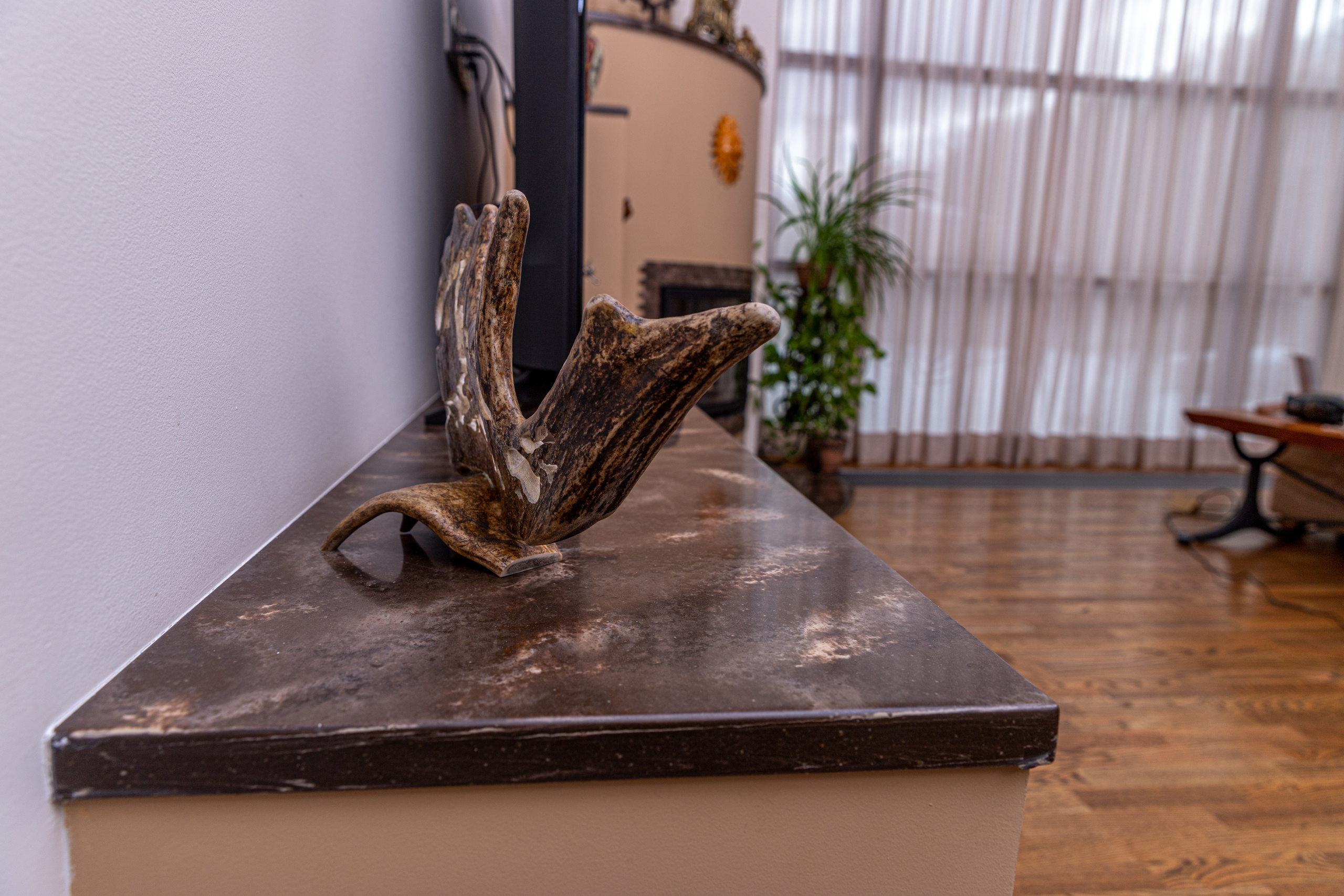 Интерьерная съёмка. Тархановский Павел Фото/Видео съёмка