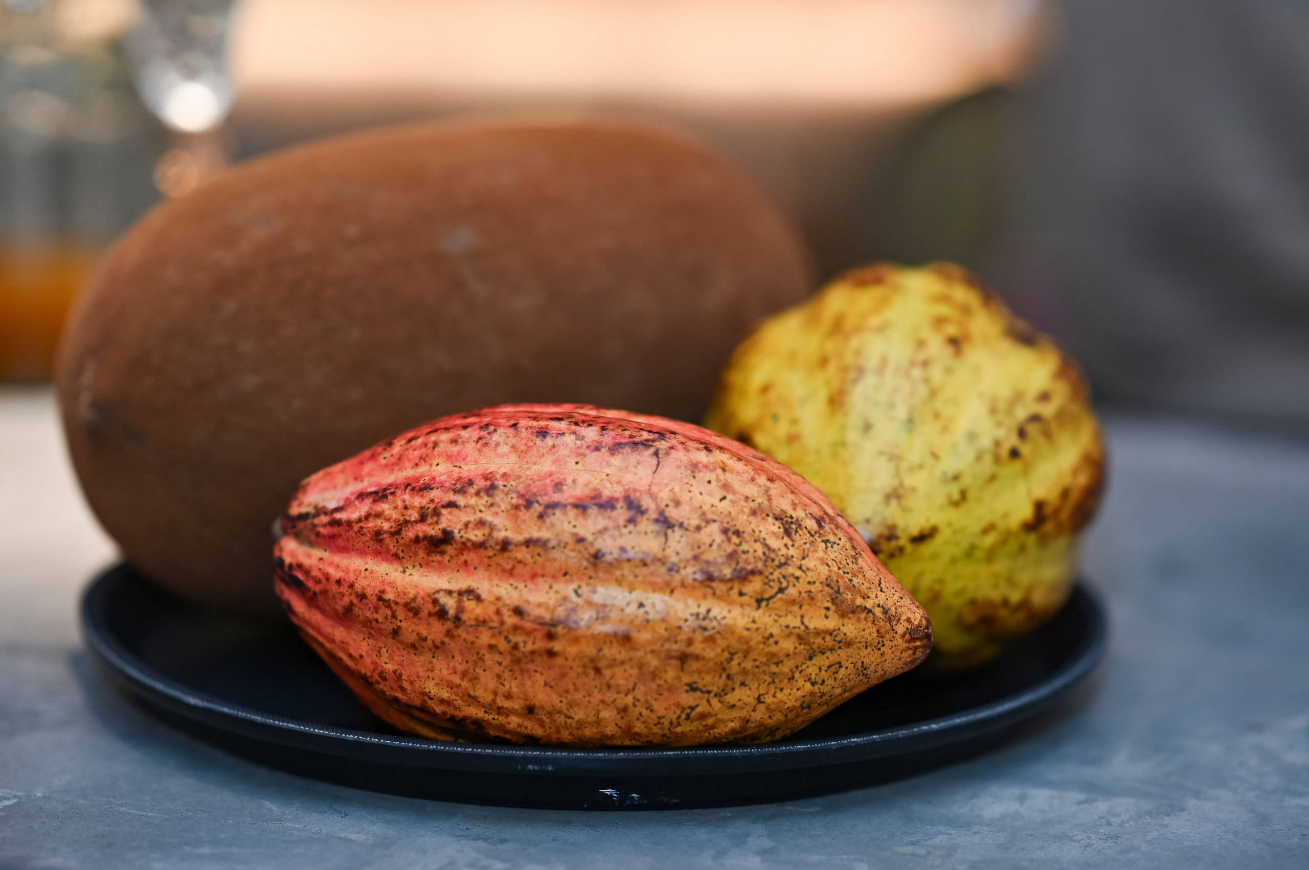 THEOBROMA. ZDARONOKIA Репортажный фотограф