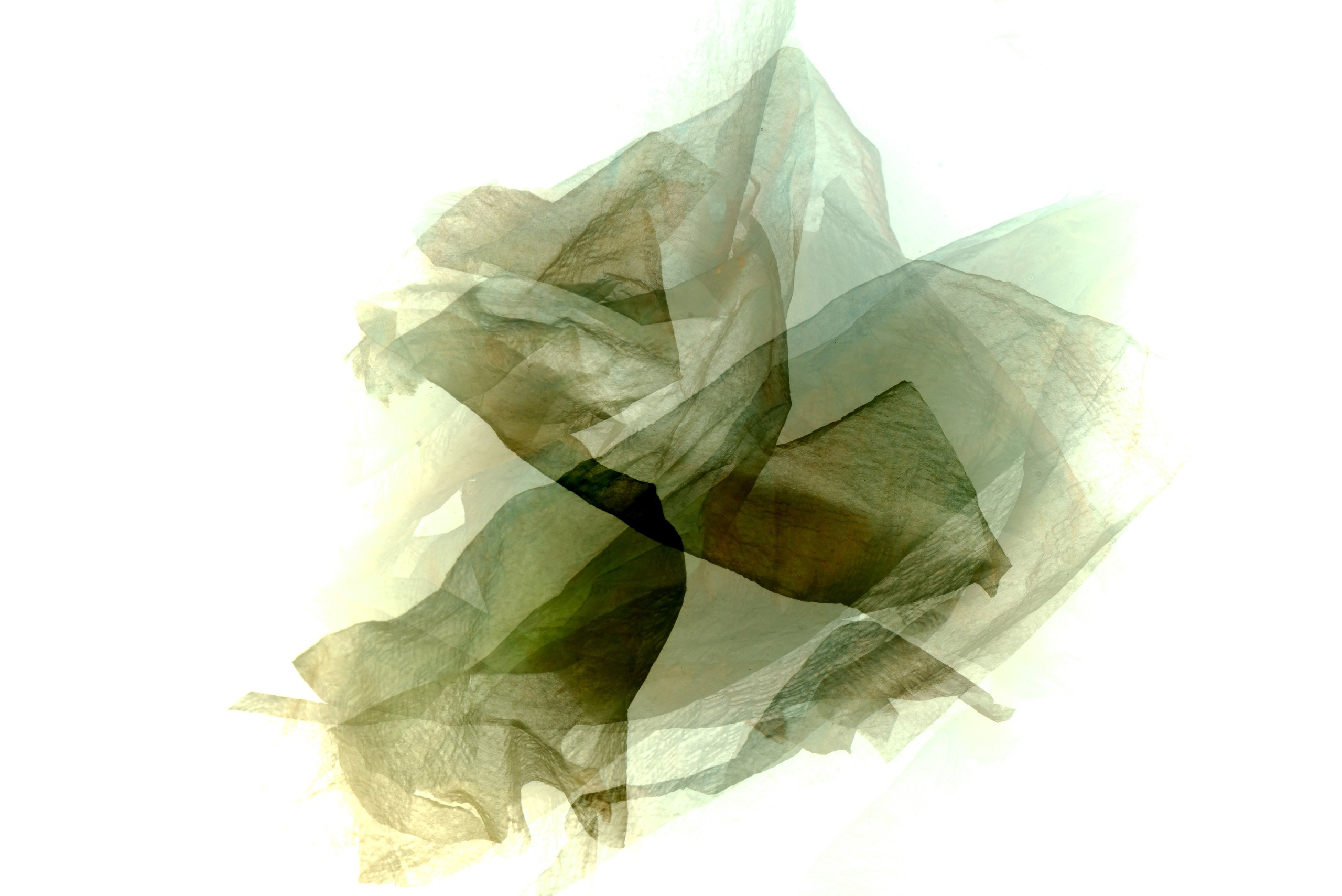 Бумага в воде. Скульптуры из воды Сергея Толмачева