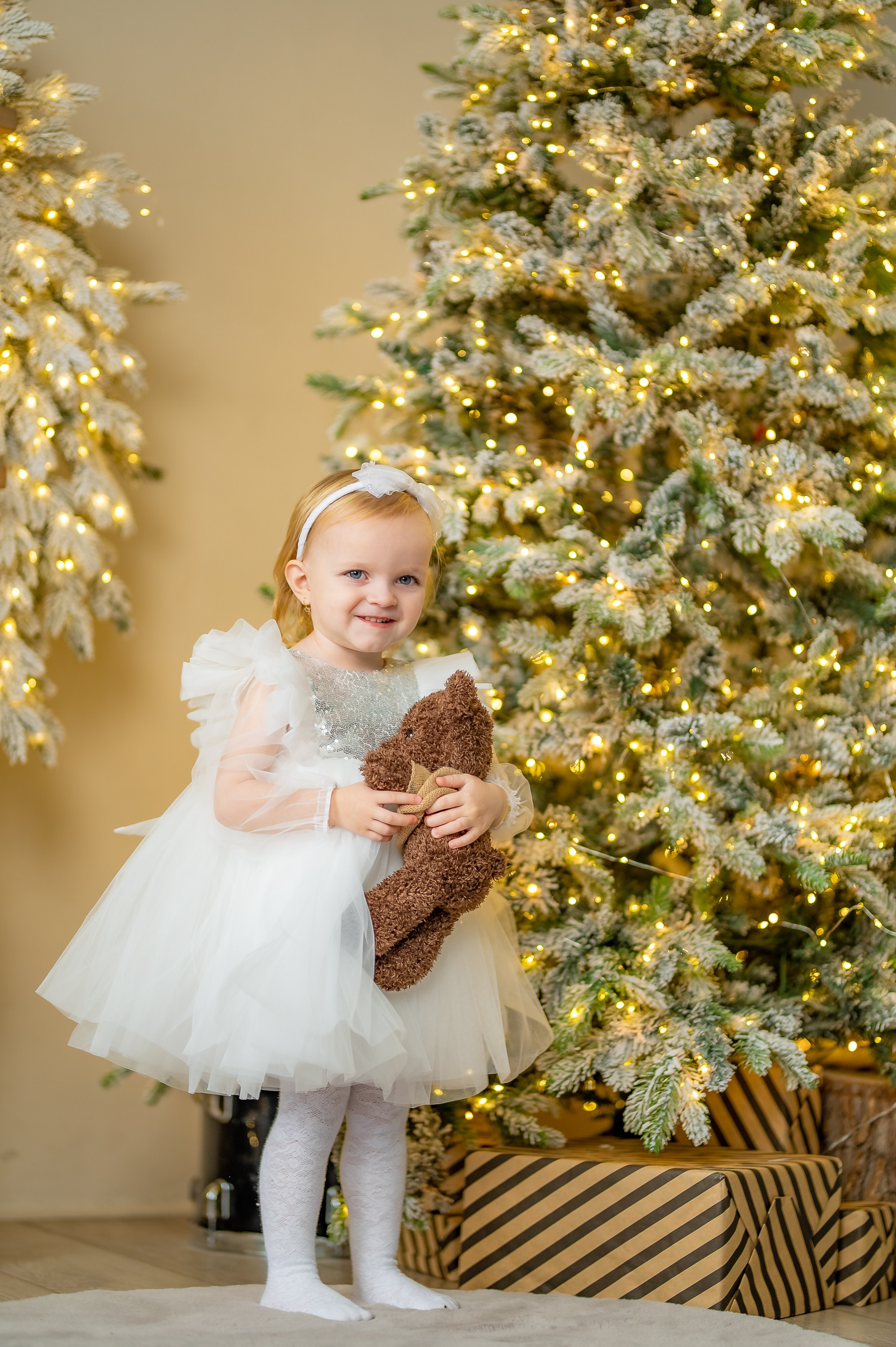 Фотостудия Кино. ProfotoNK