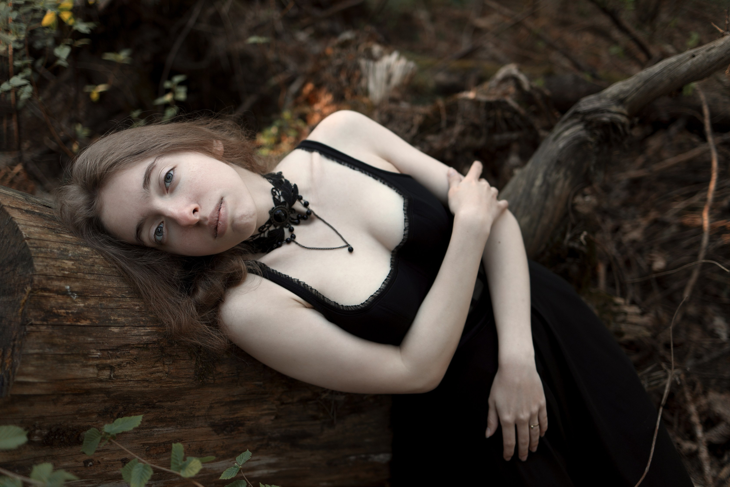 Schutzwald. Арт-фотограф. Coffelisk