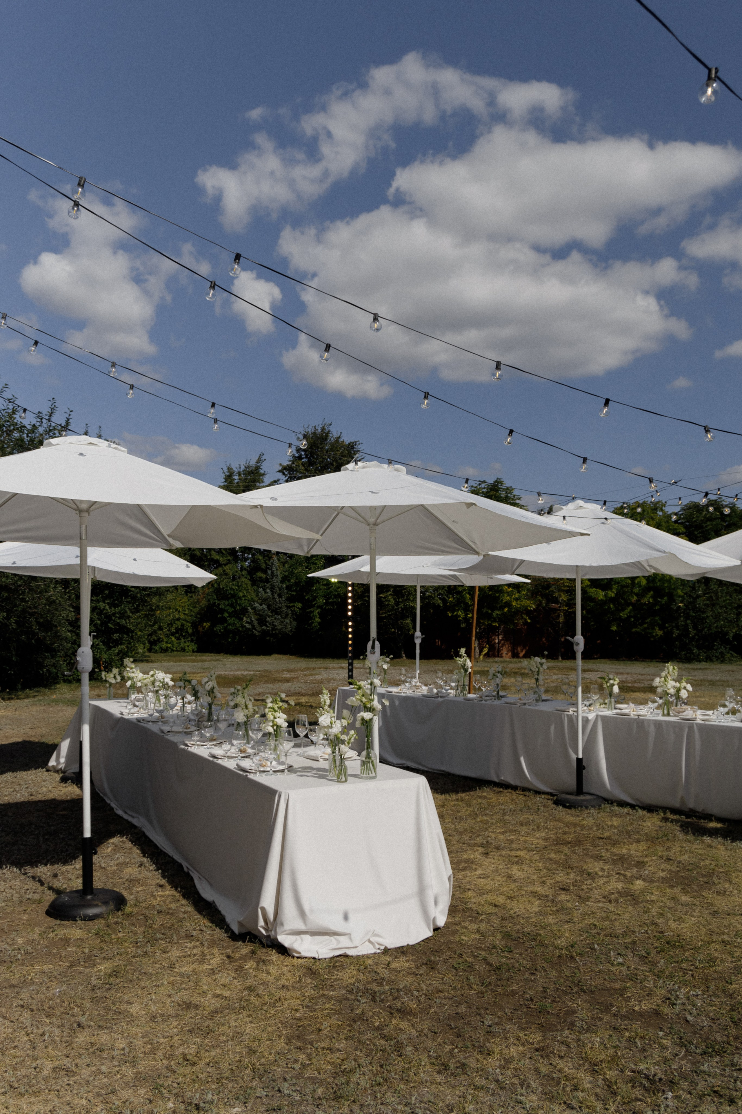 Станислав и Анастасия. Свадебный организатор в Тольятти | Самаре