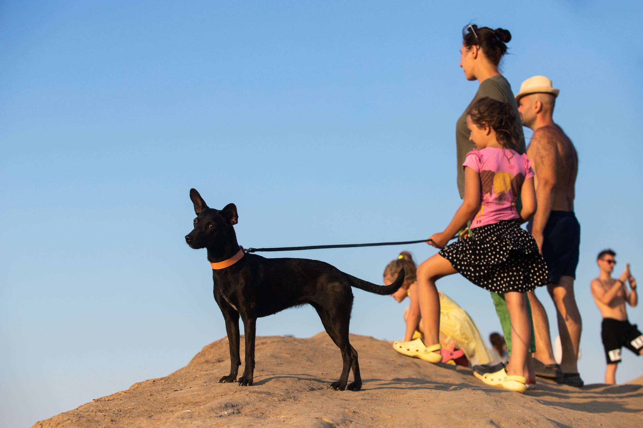 Кондуки (10 июля 2021). Репортажный фотограф Алексей Пирязев